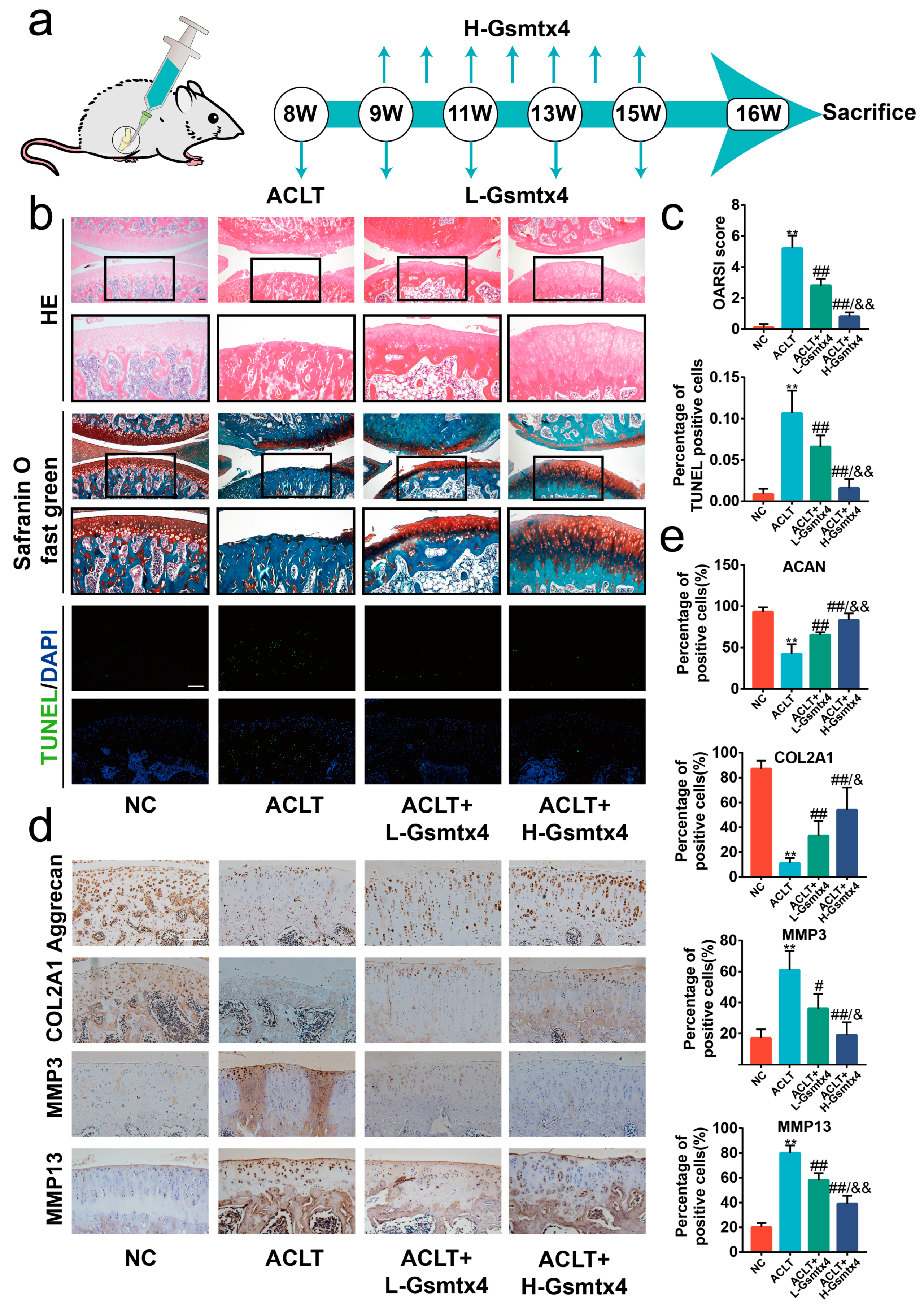 Ijms 24 04022 g007 Ijms 24 04022 g007