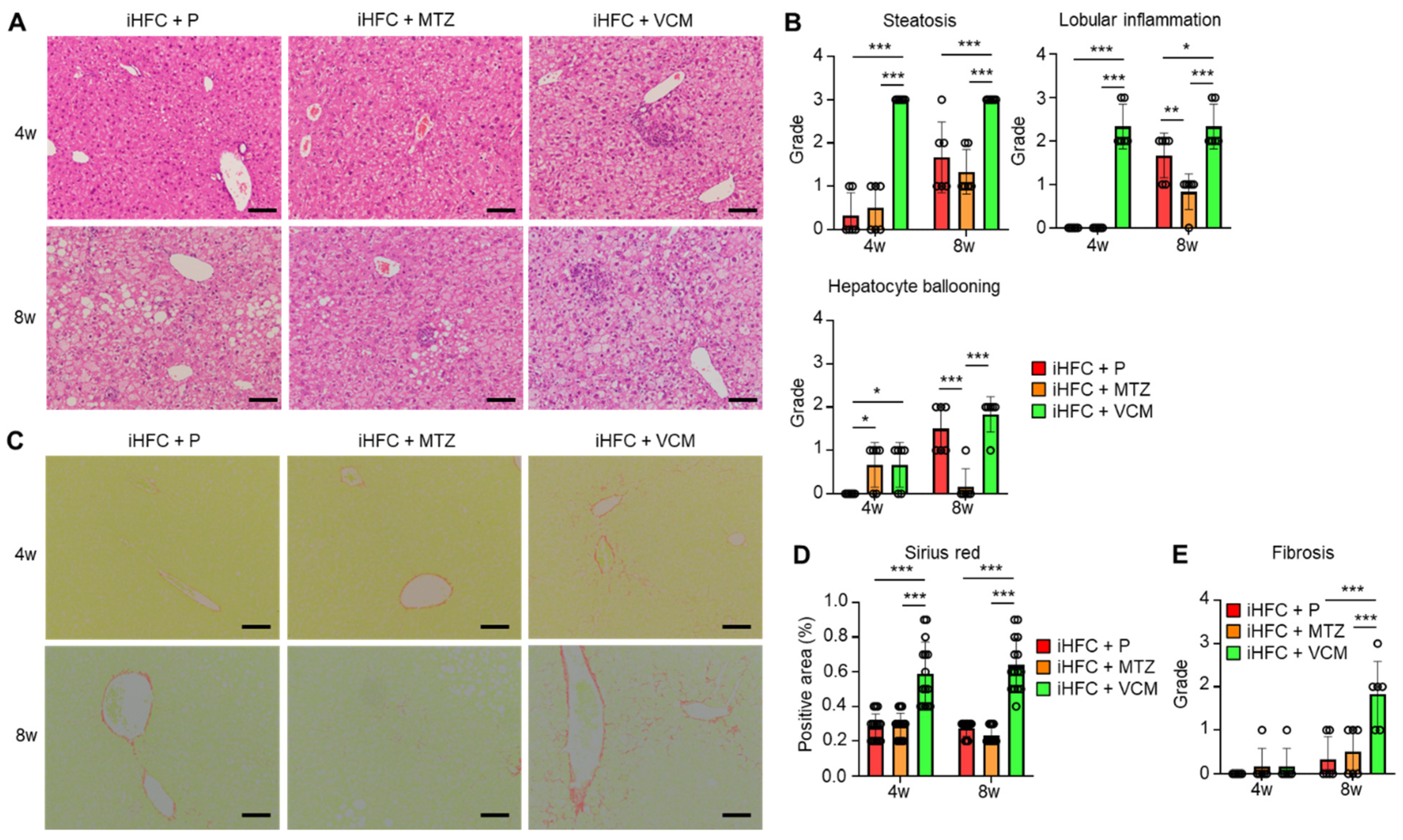 Ijms 24 04050 g002 Ijms 24 04050 g002