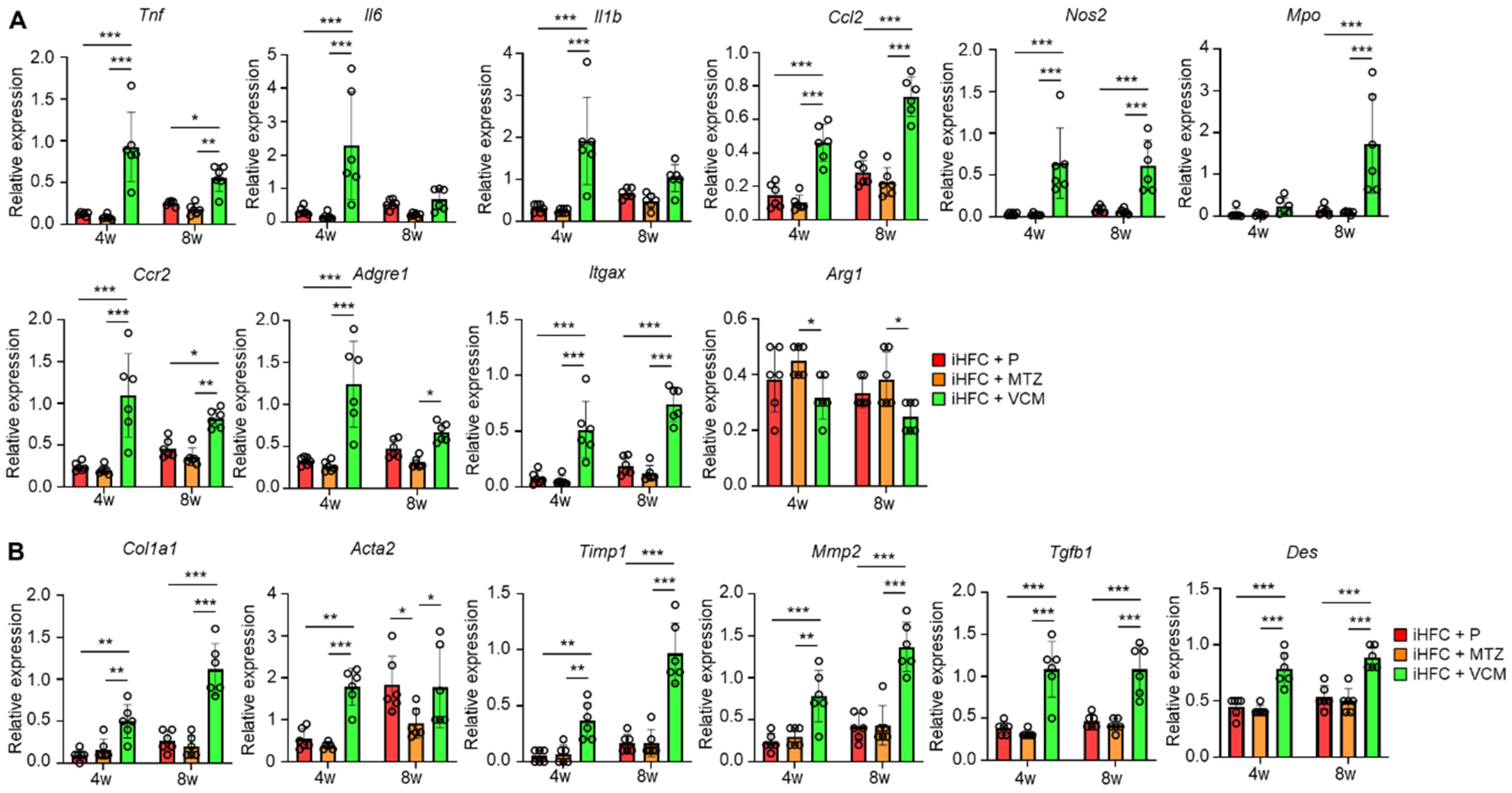 Ijms 24 04050 g003 Ijms 24 04050 g003