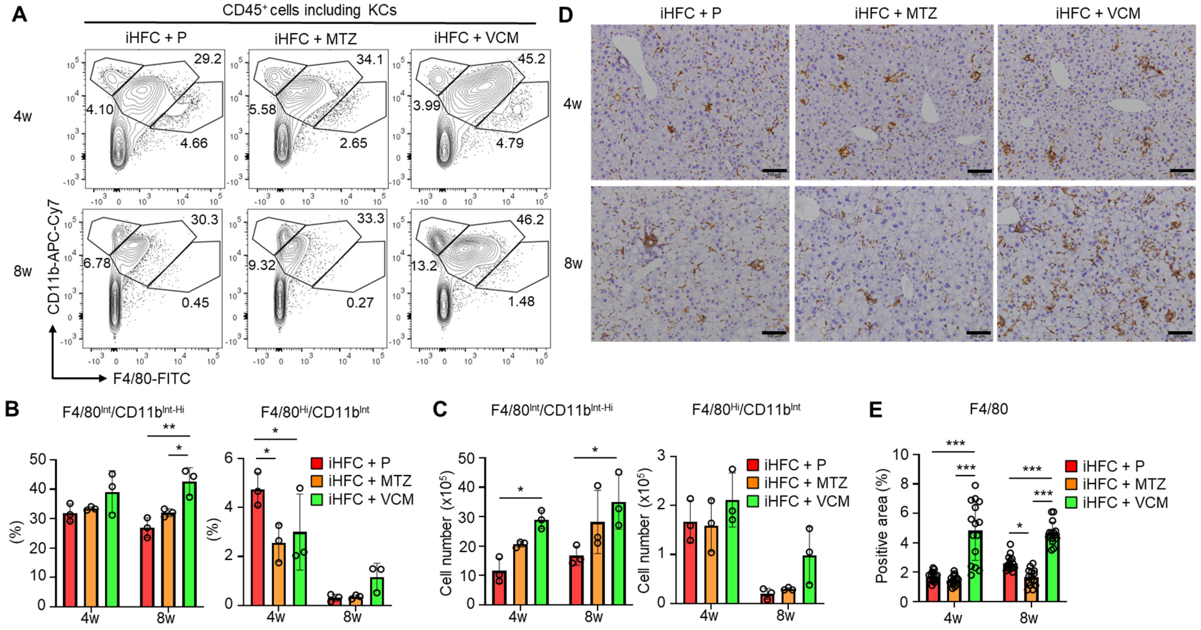 Ijms 24 04050 g005 Ijms 24 04050 g005