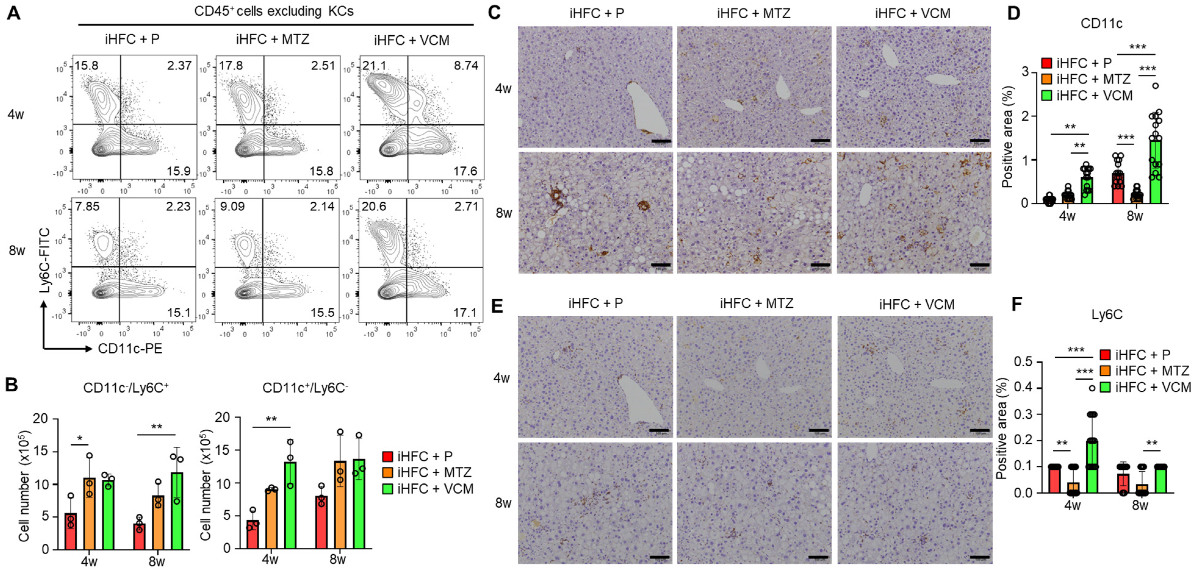 Ijms 24 04050 g006 Ijms 24 04050 g006