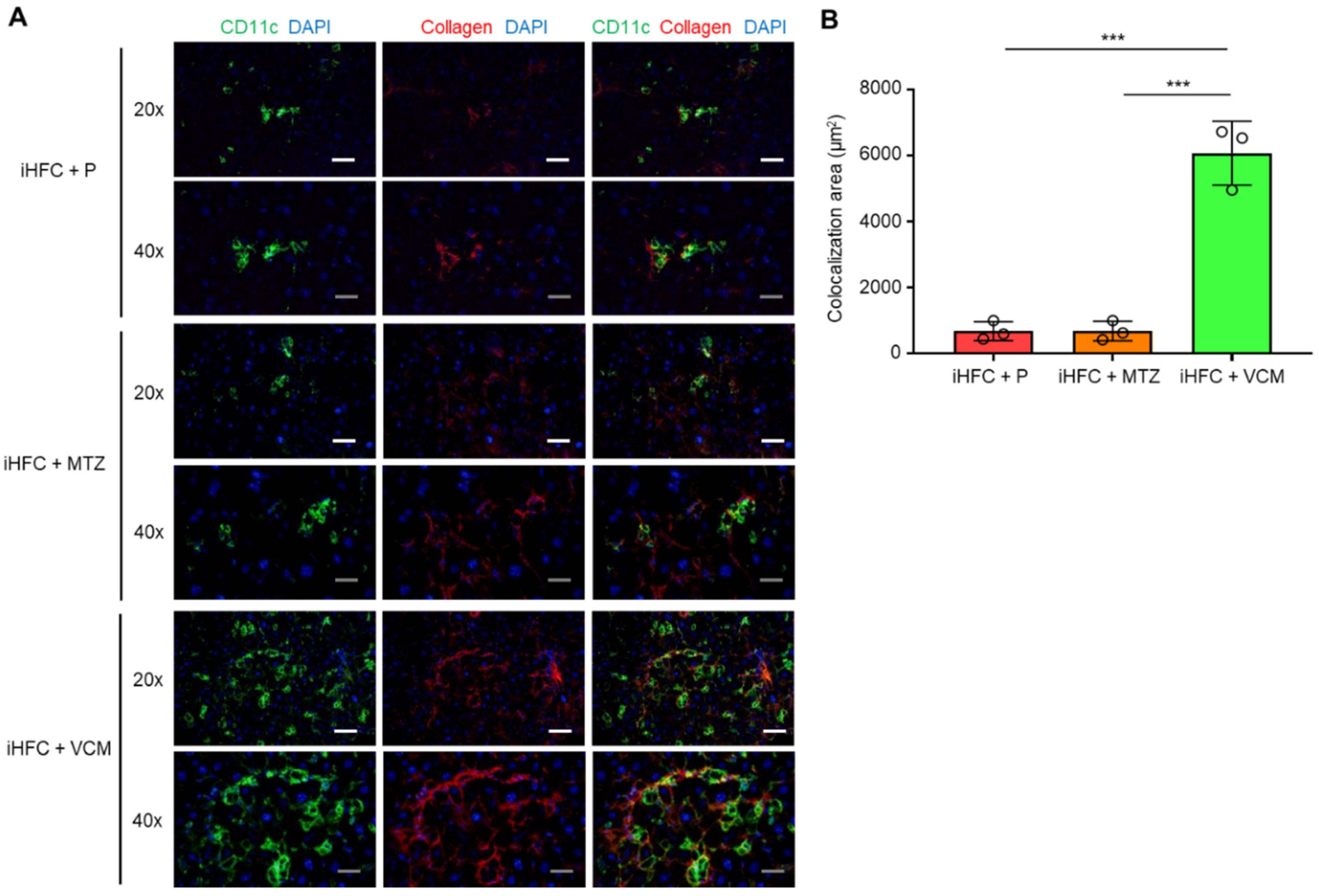 Ijms 24 04050 g007 Ijms 24 04050 g007