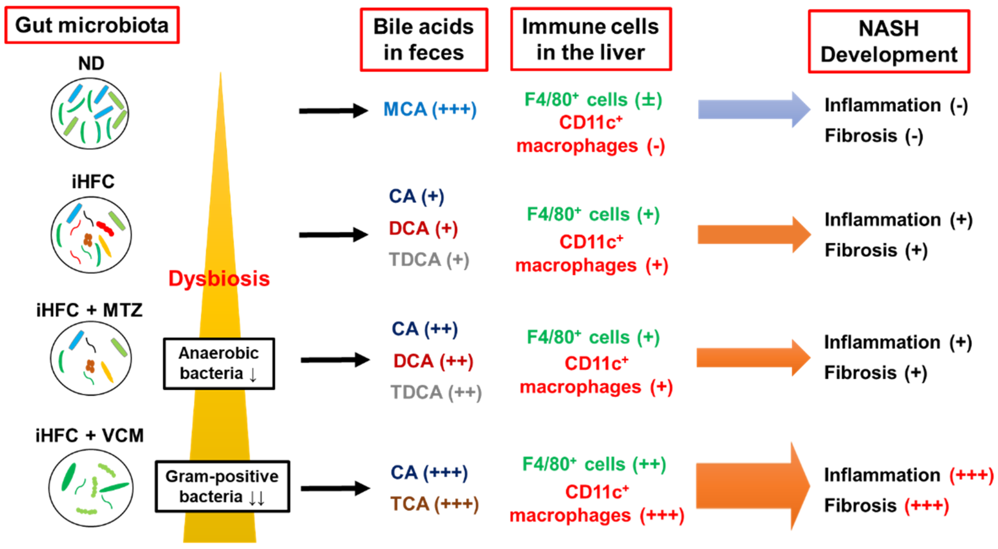 Ijms 24 04050 g009 Ijms 24 04050 g009