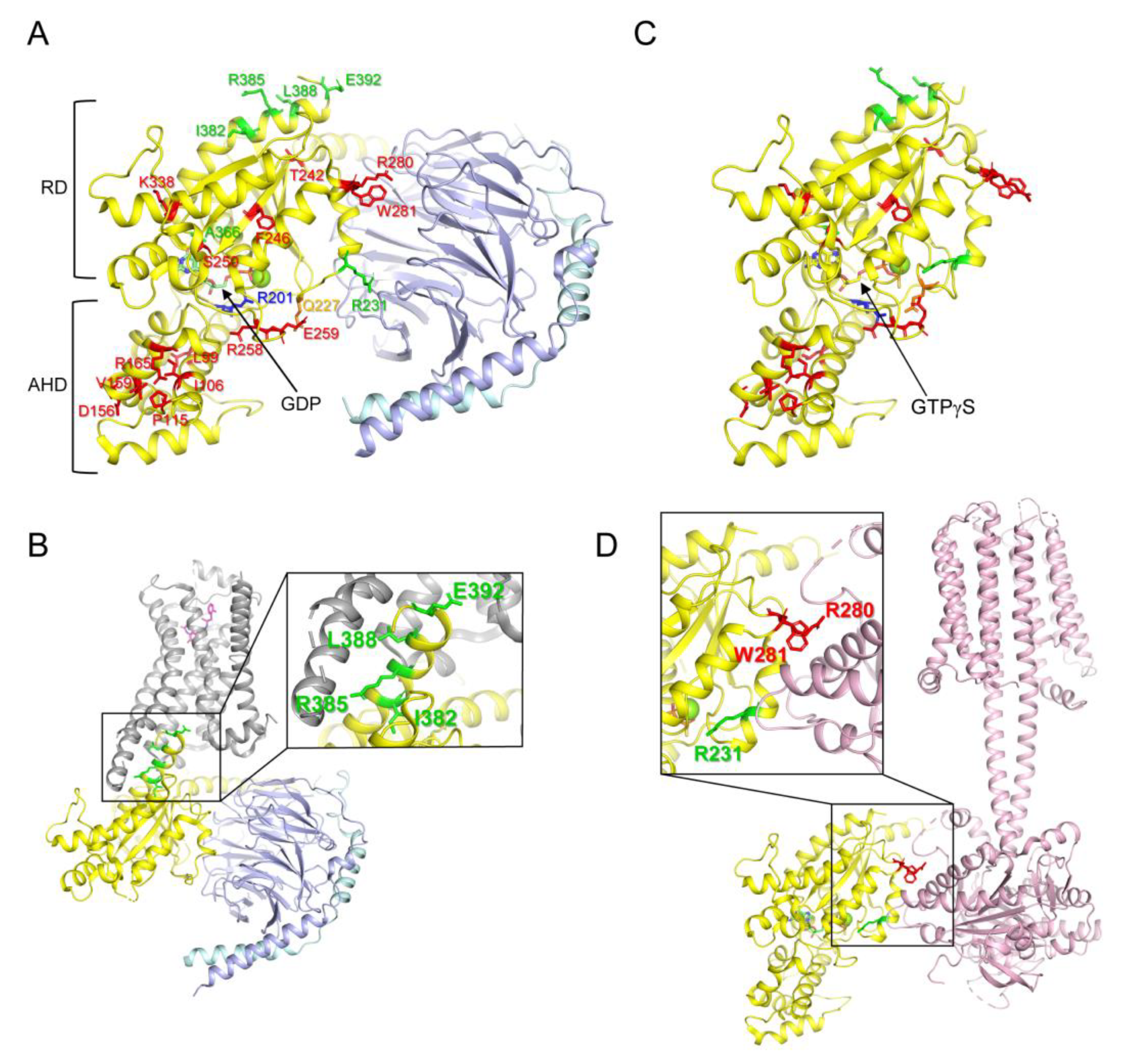 Ijms 24 04064 g001 Ijms 24 04064 g001