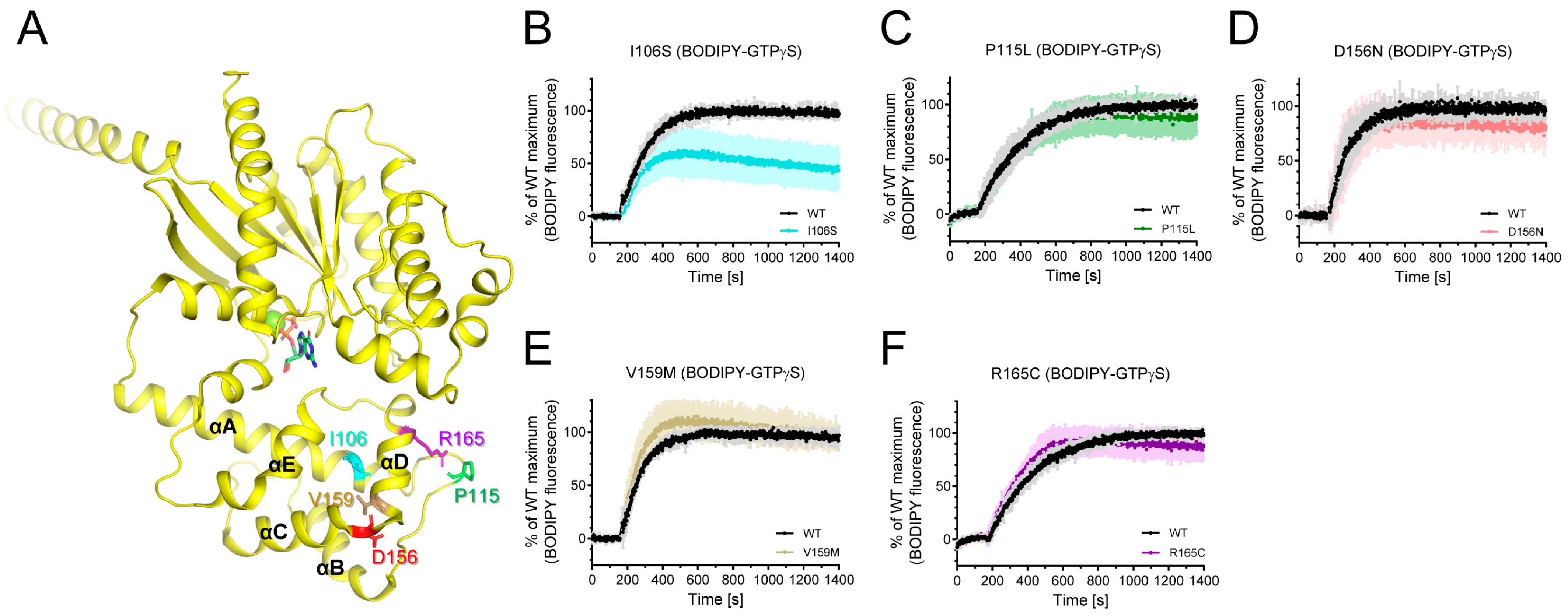 Ijms 24 04064 g003 Ijms 24 04064 g003