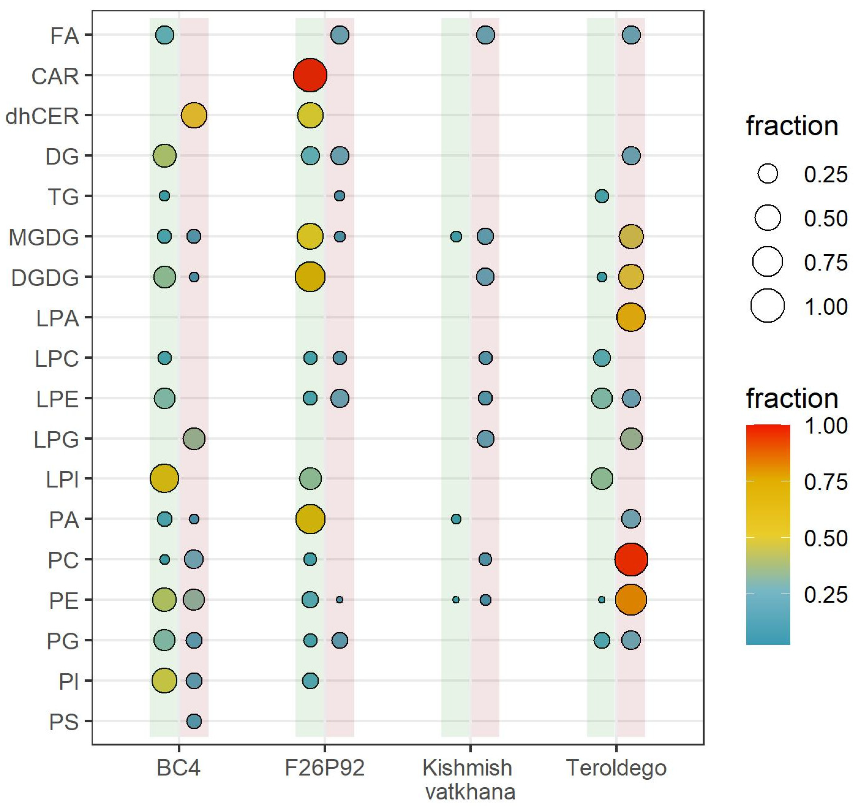 Ijms 24 04072 g001 Ijms 24 04072 g001