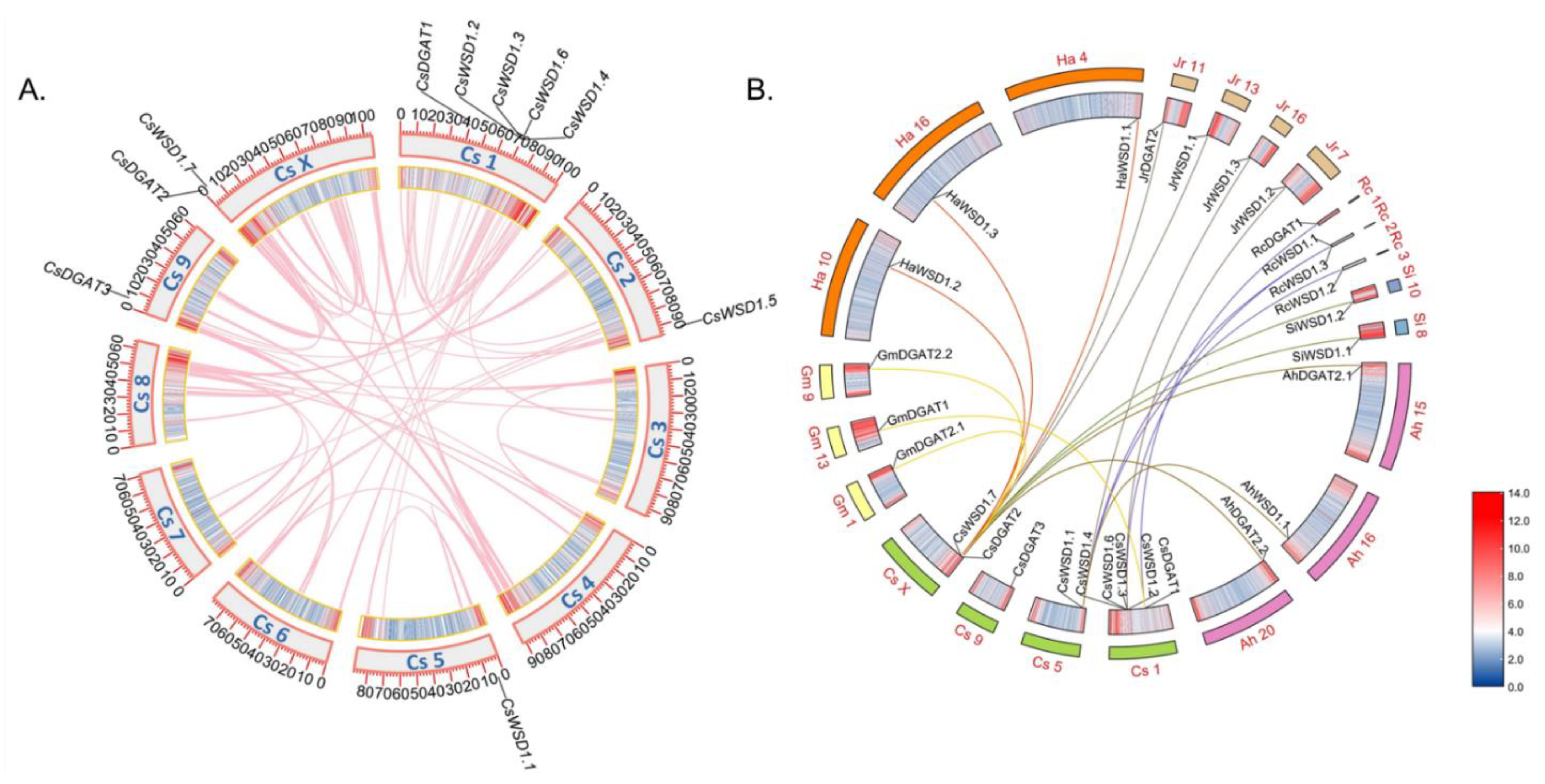 Ijms 24 04078 g002 Ijms 24 04078 g002