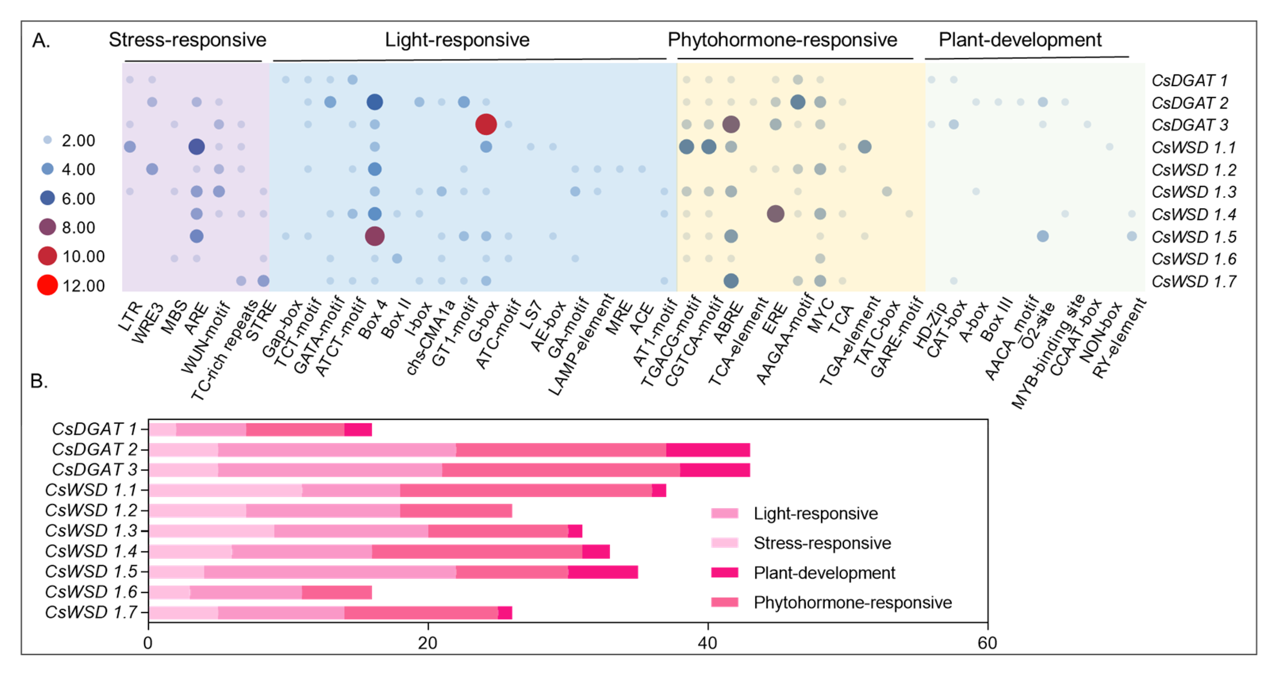 Ijms 24 04078 g004 Ijms 24 04078 g004