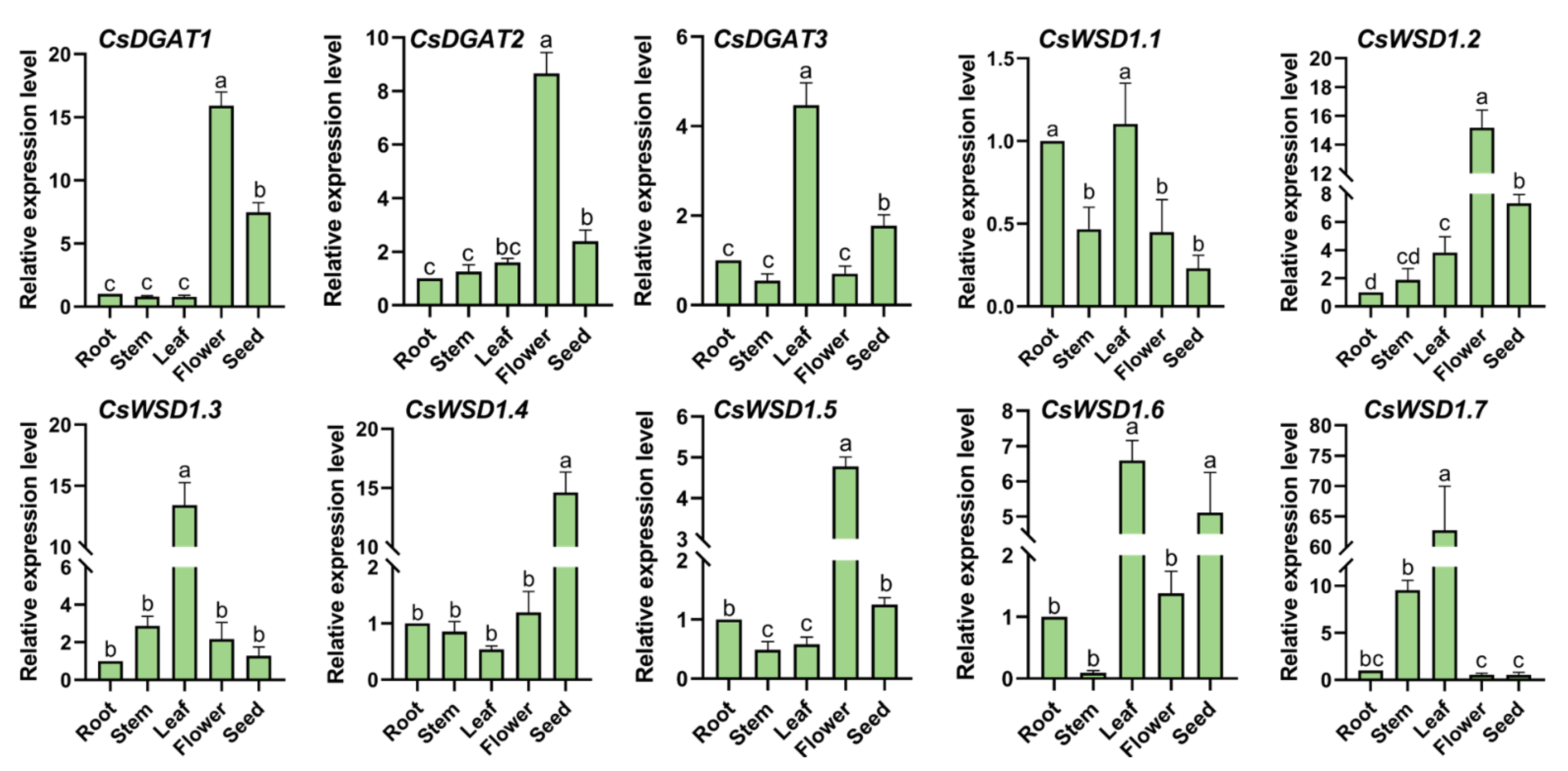 Ijms 24 04078 g007 Ijms 24 04078 g007
