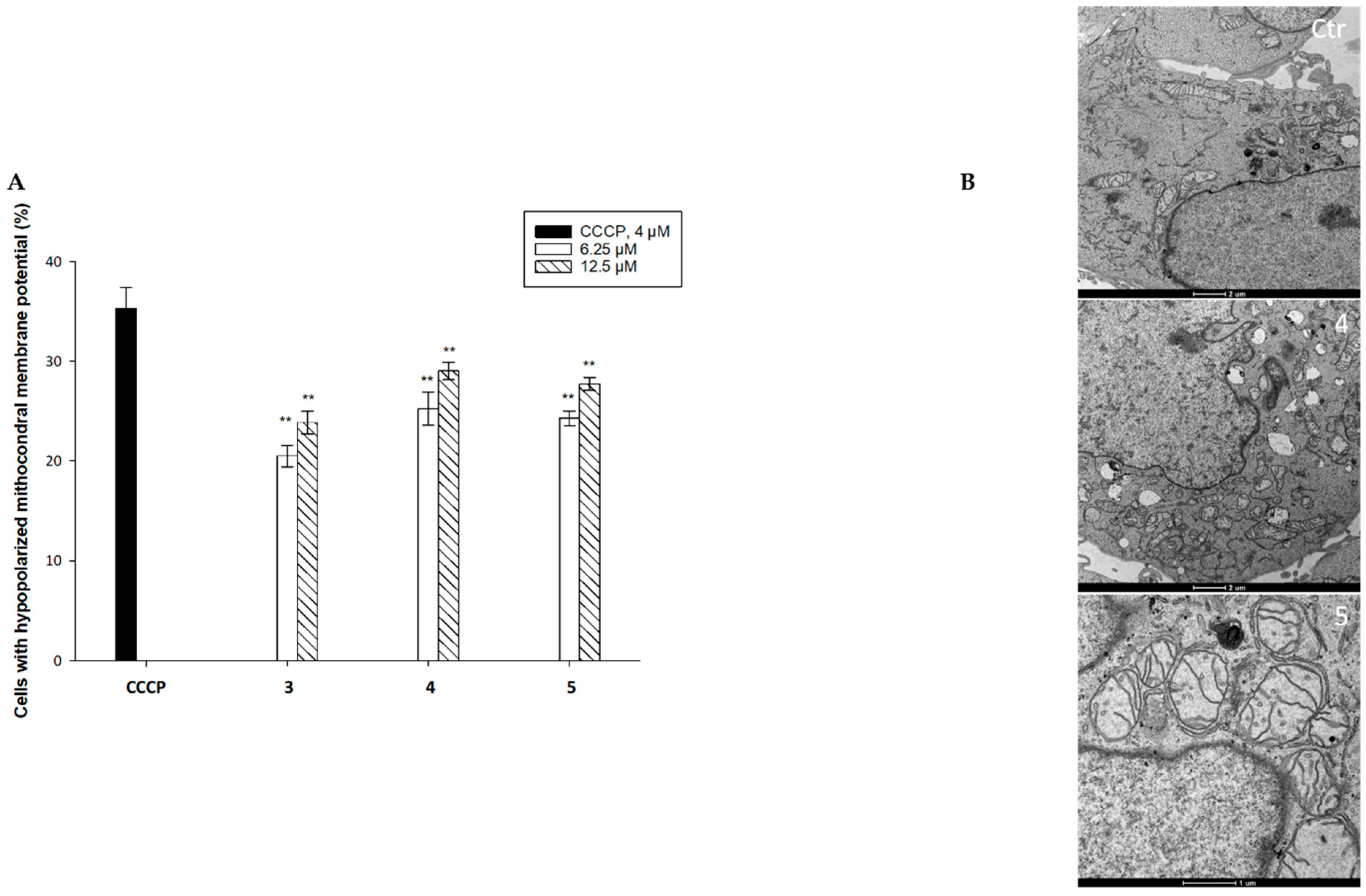 Ijms 24 04091 g004 Ijms 24 04091 g004