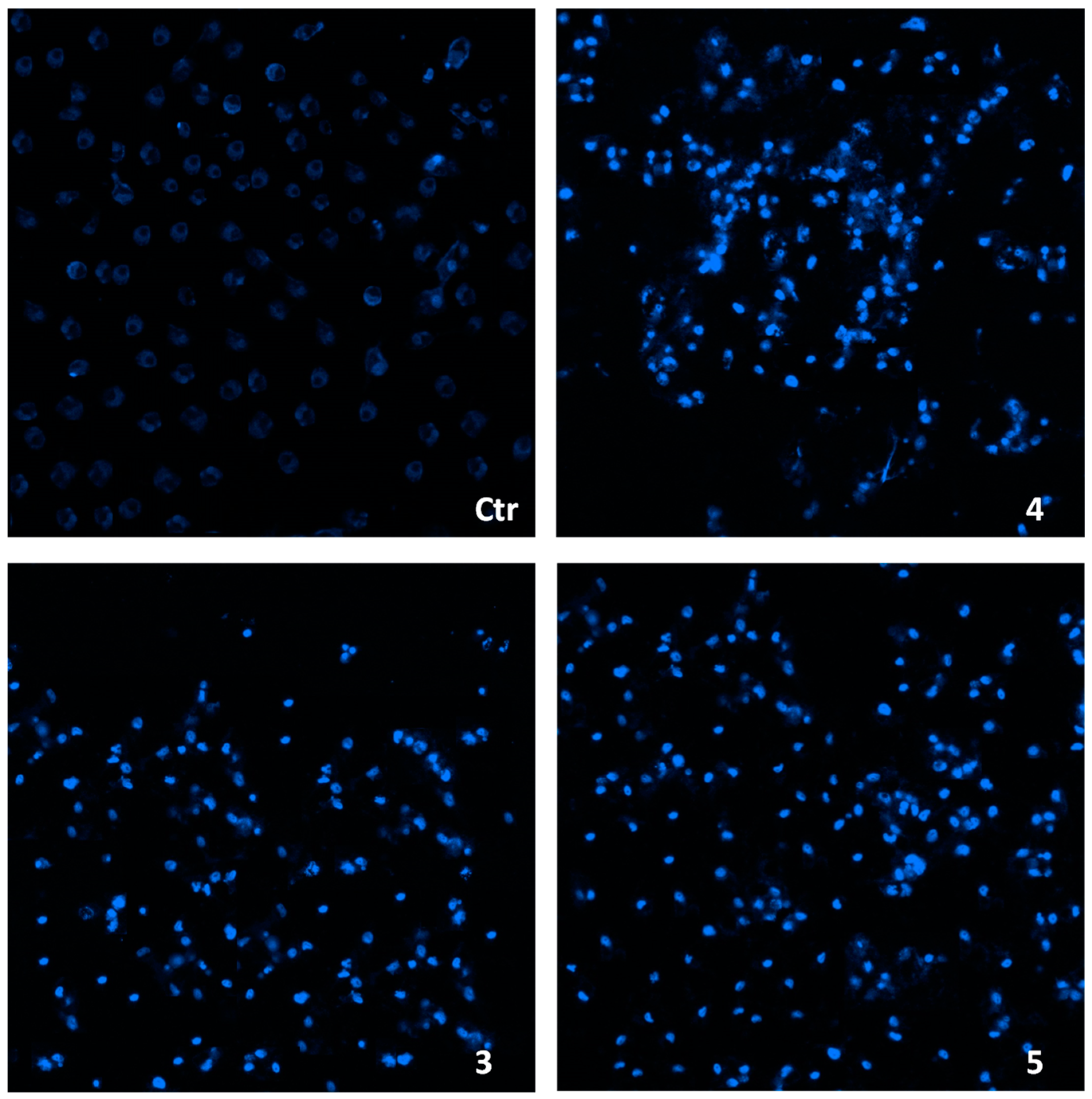 Ijms 24 04091 g005 Ijms 24 04091 g005