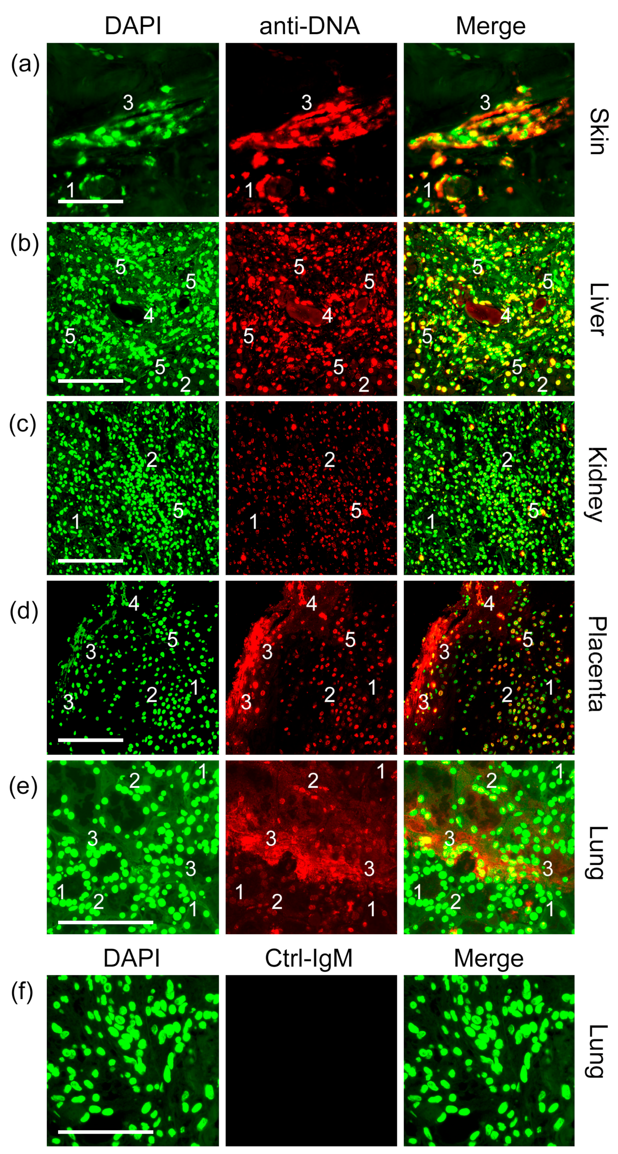 Ijms 24 04101 g001 Ijms 24 04101 g001