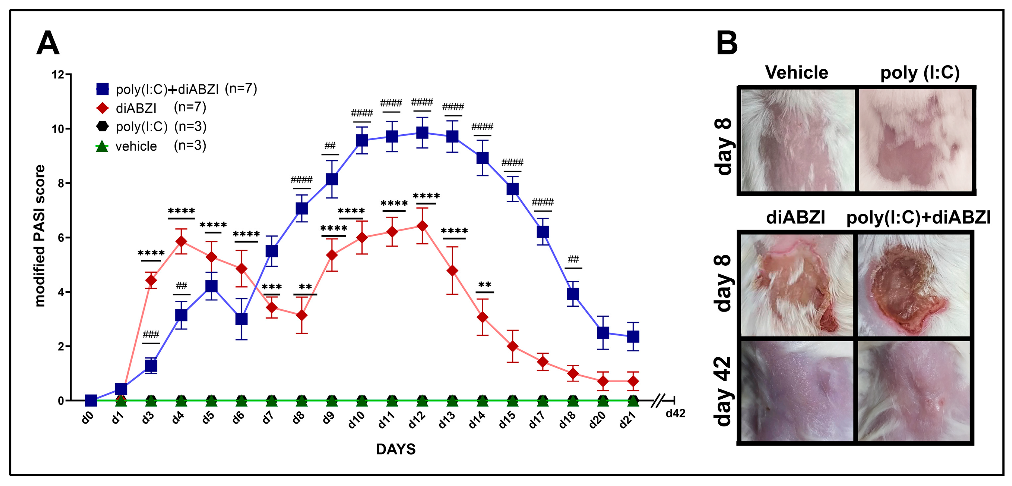 Ijms 24 04128 g002 Ijms 24 04128 g002