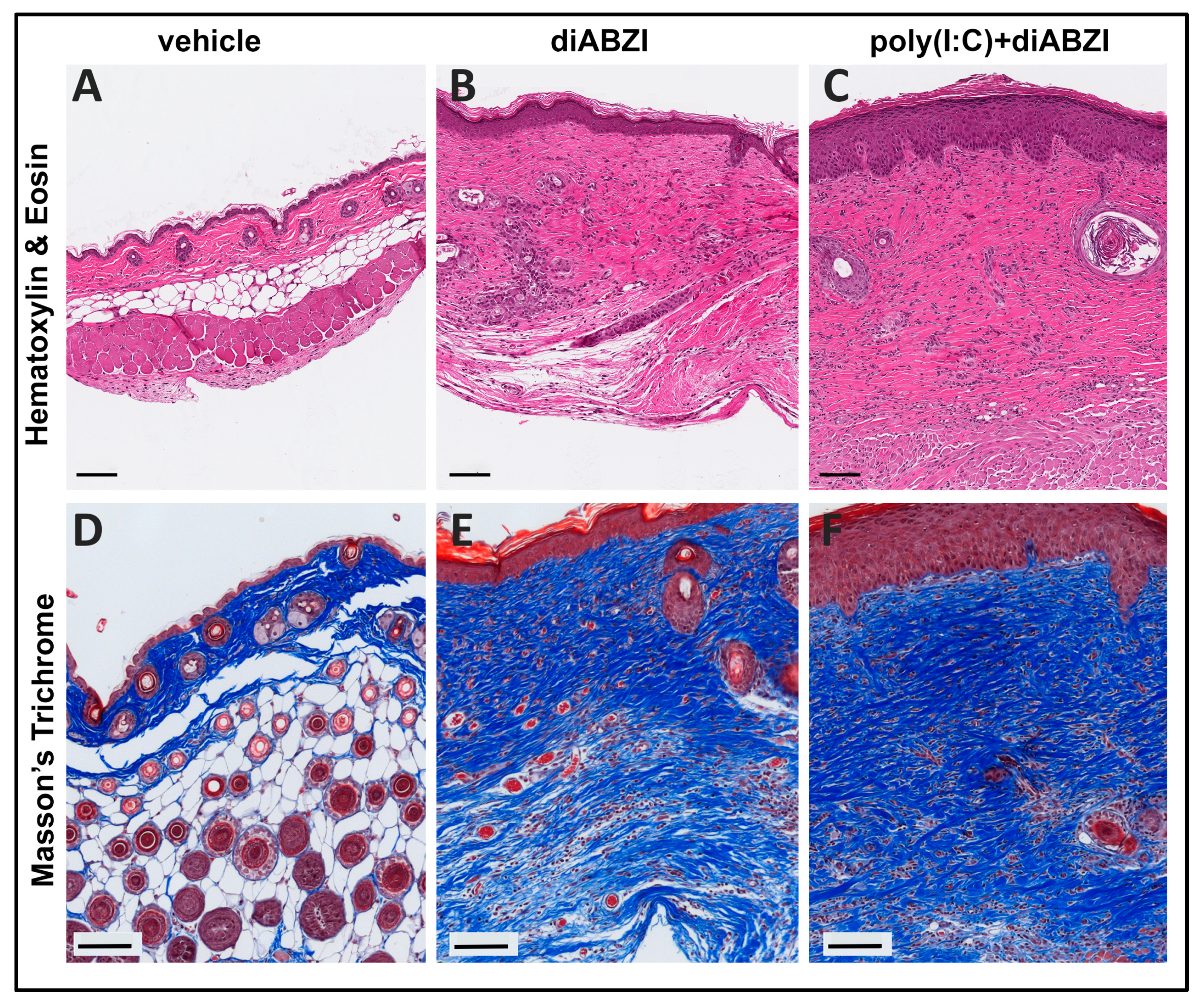 Ijms 24 04128 g006 Ijms 24 04128 g006