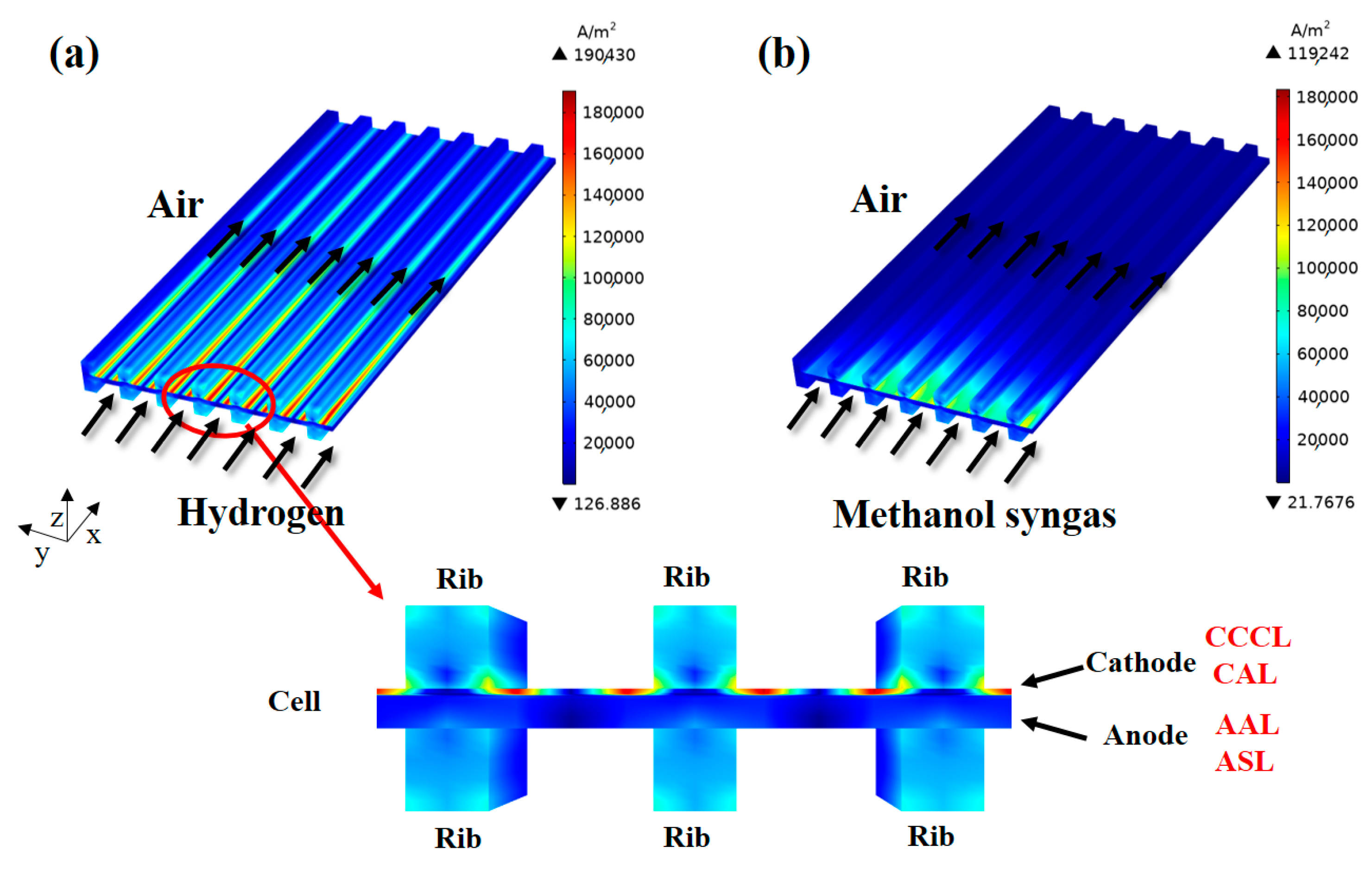 Ijms 24 04137 g003 Ijms 24 04137 g003