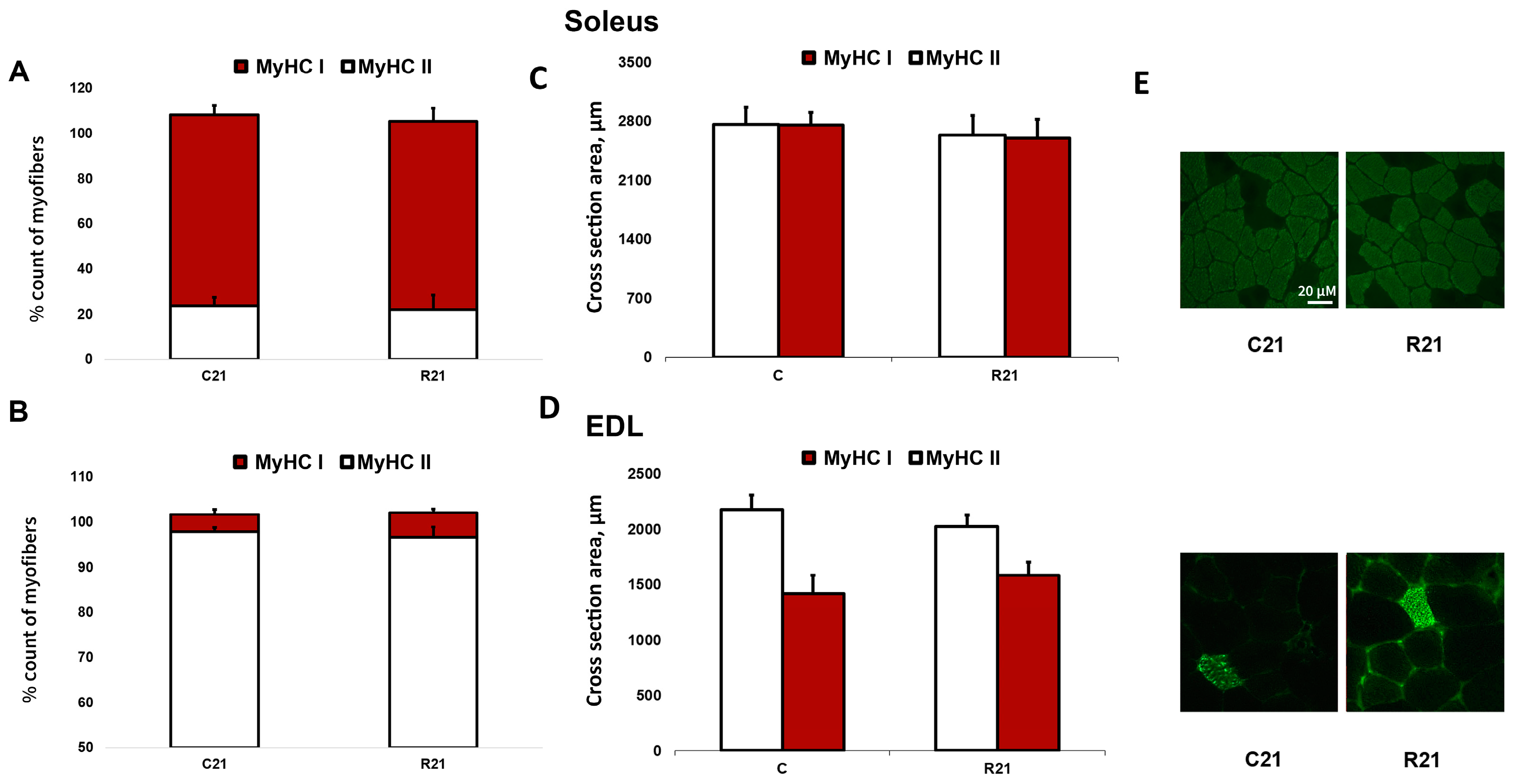 Ijms 24 04141 g003 Ijms 24 04141 g003