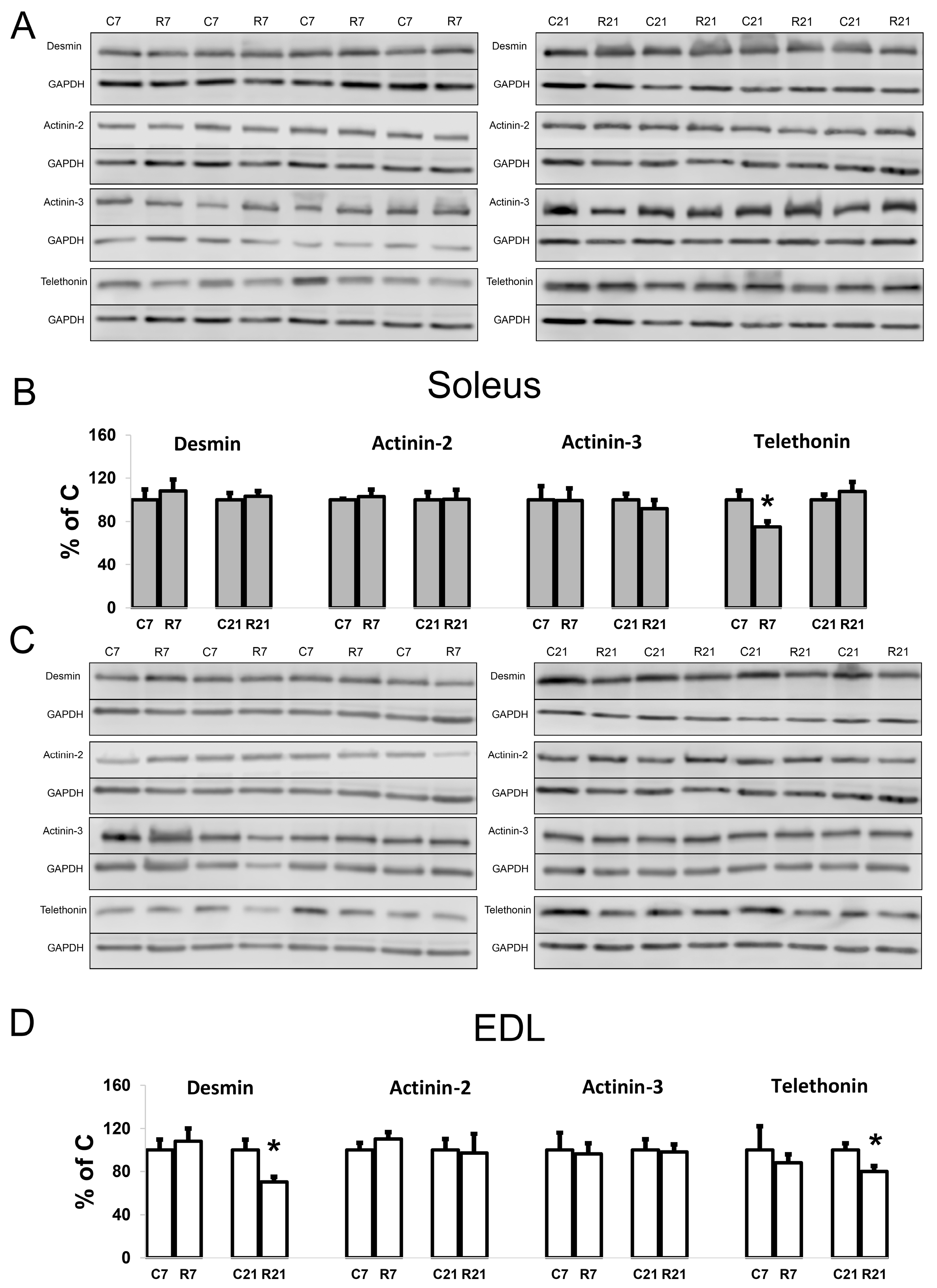 Ijms 24 04141 g005 Ijms 24 04141 g005