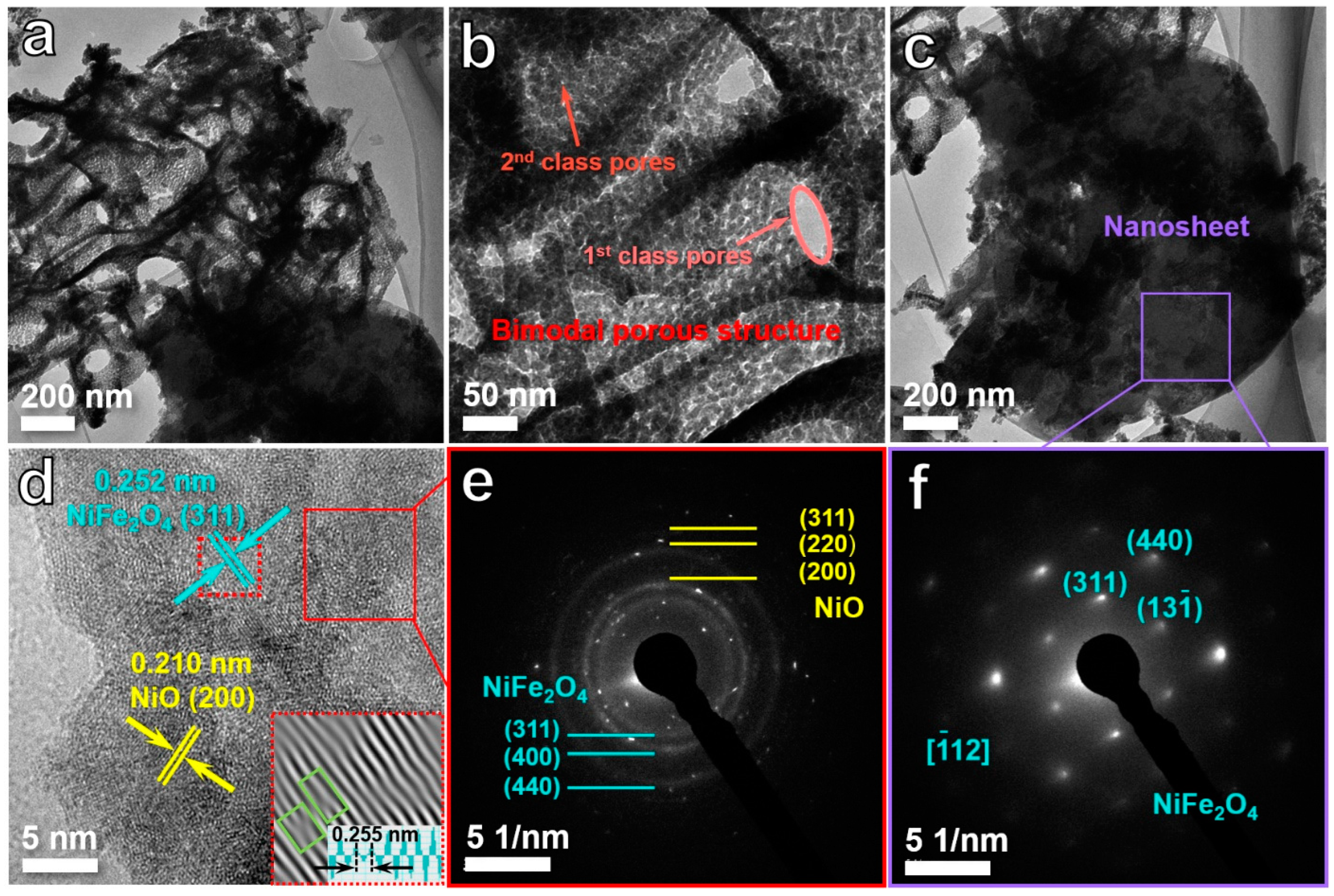Ijms 24 04152 g002 Ijms 24 04152 g002
