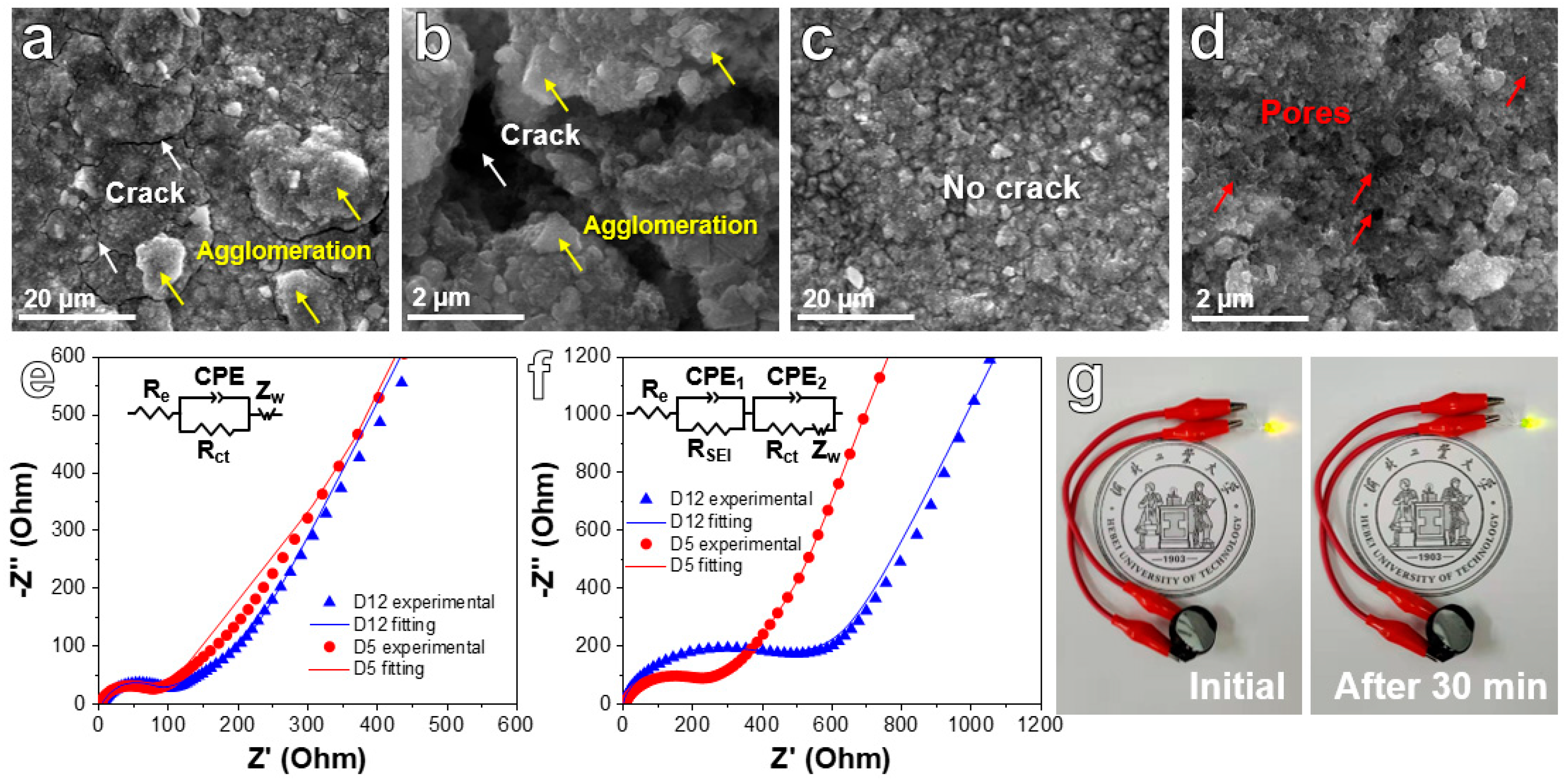 Ijms 24 04152 g007 Ijms 24 04152 g007