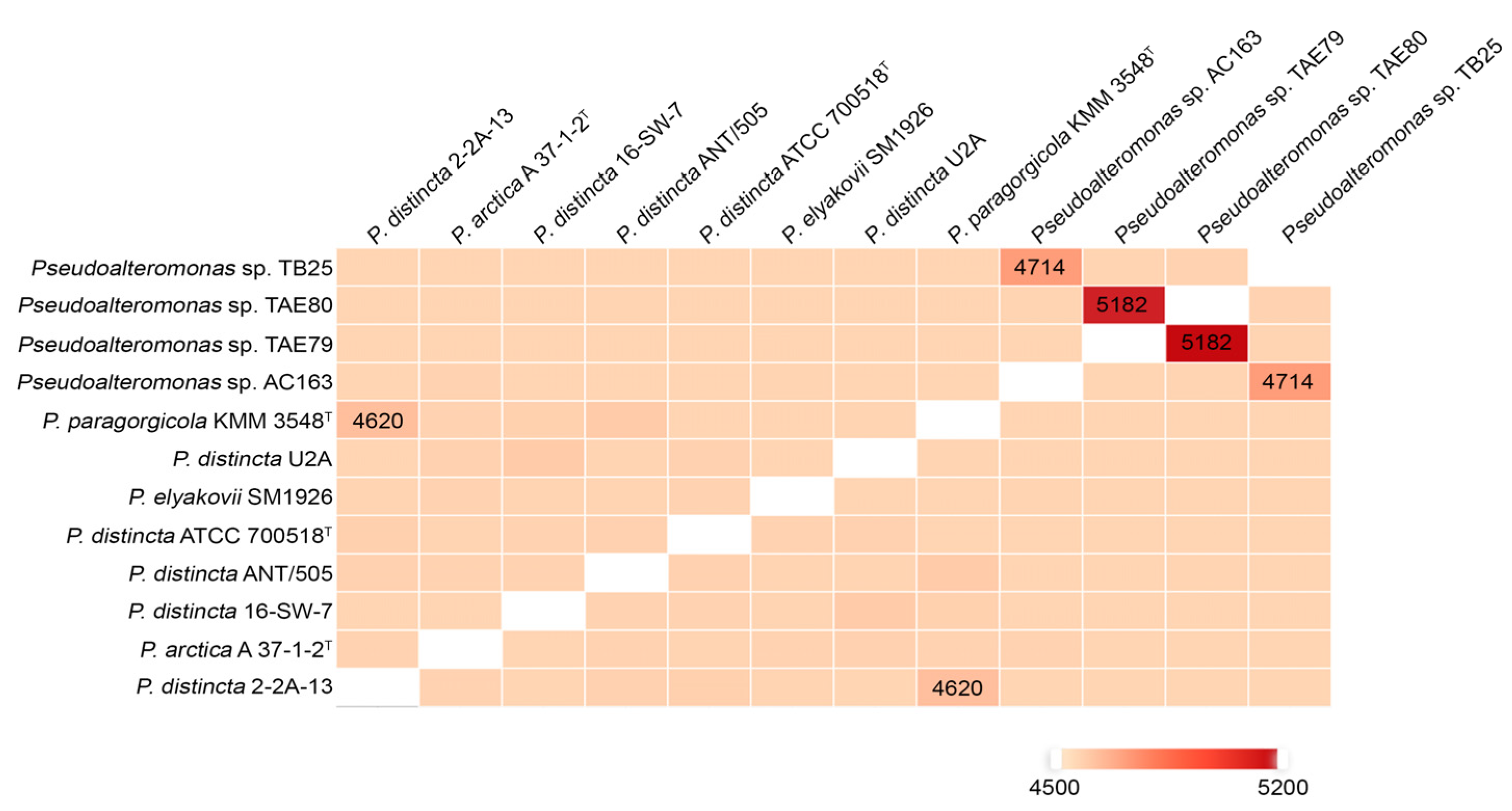 Ijms 24 04158 g003 Ijms 24 04158 g003