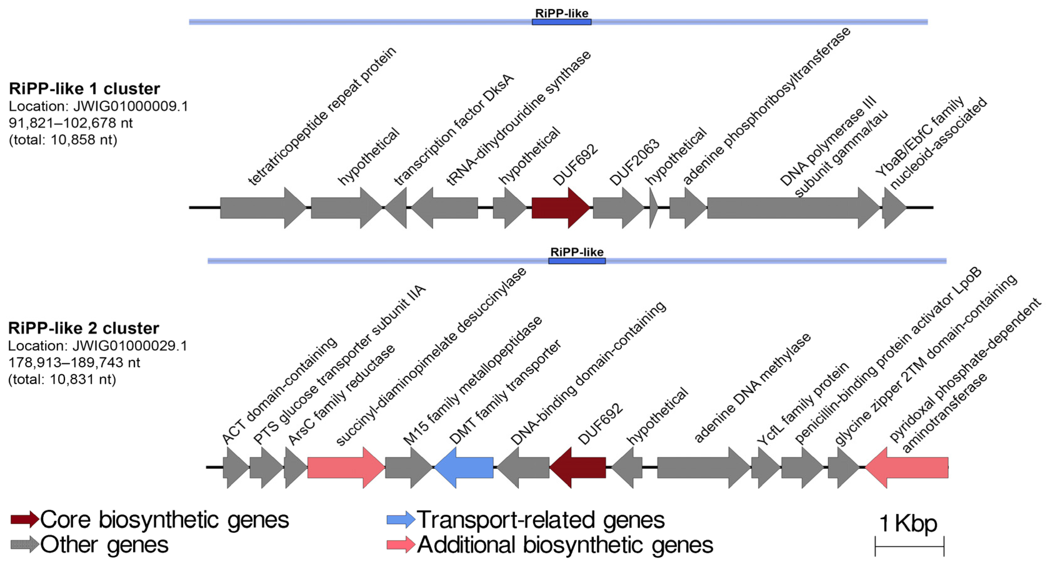Ijms 24 04158 g006 Ijms 24 04158 g006