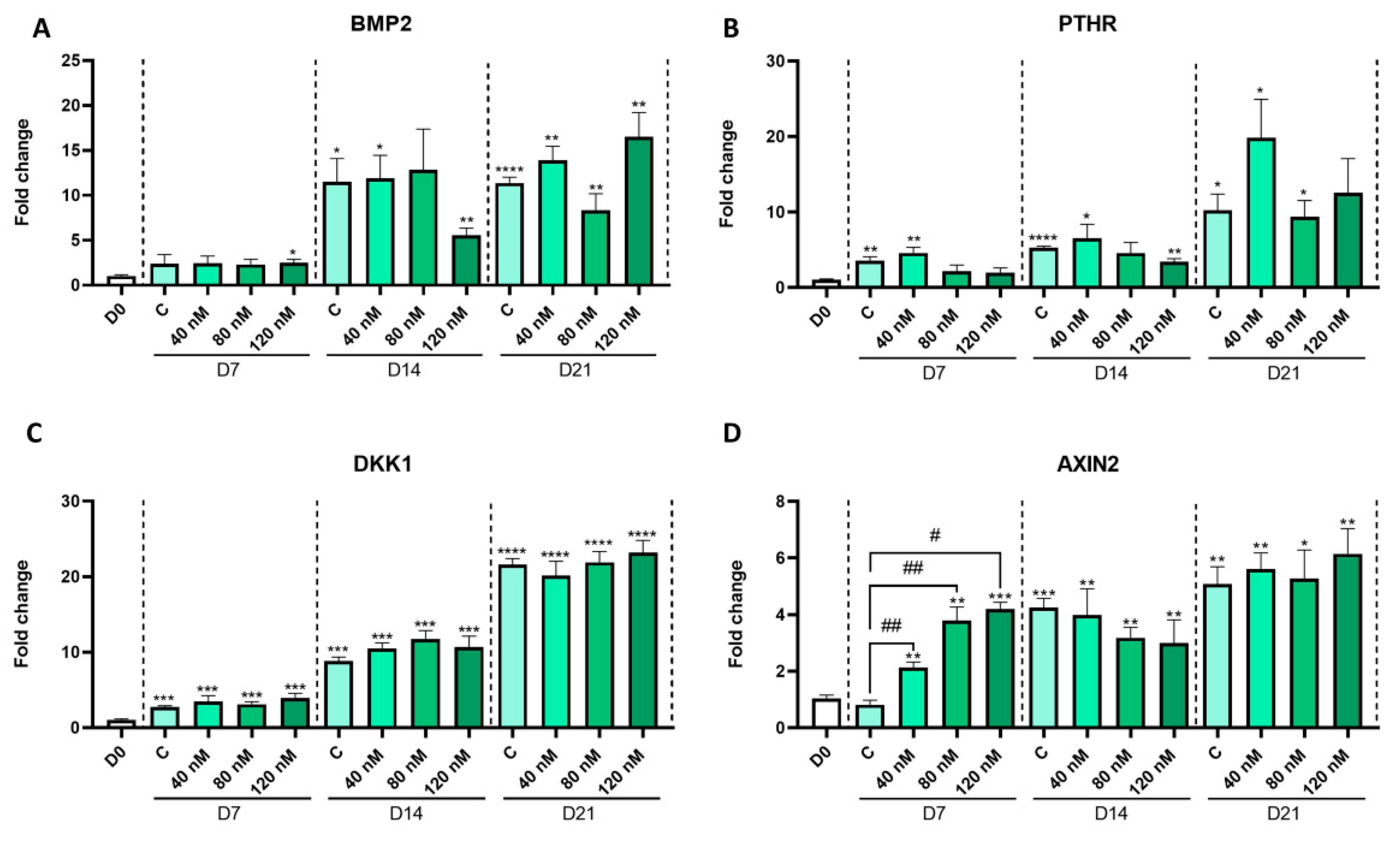 Ijms 24 04175 g003 Ijms 24 04175 g003