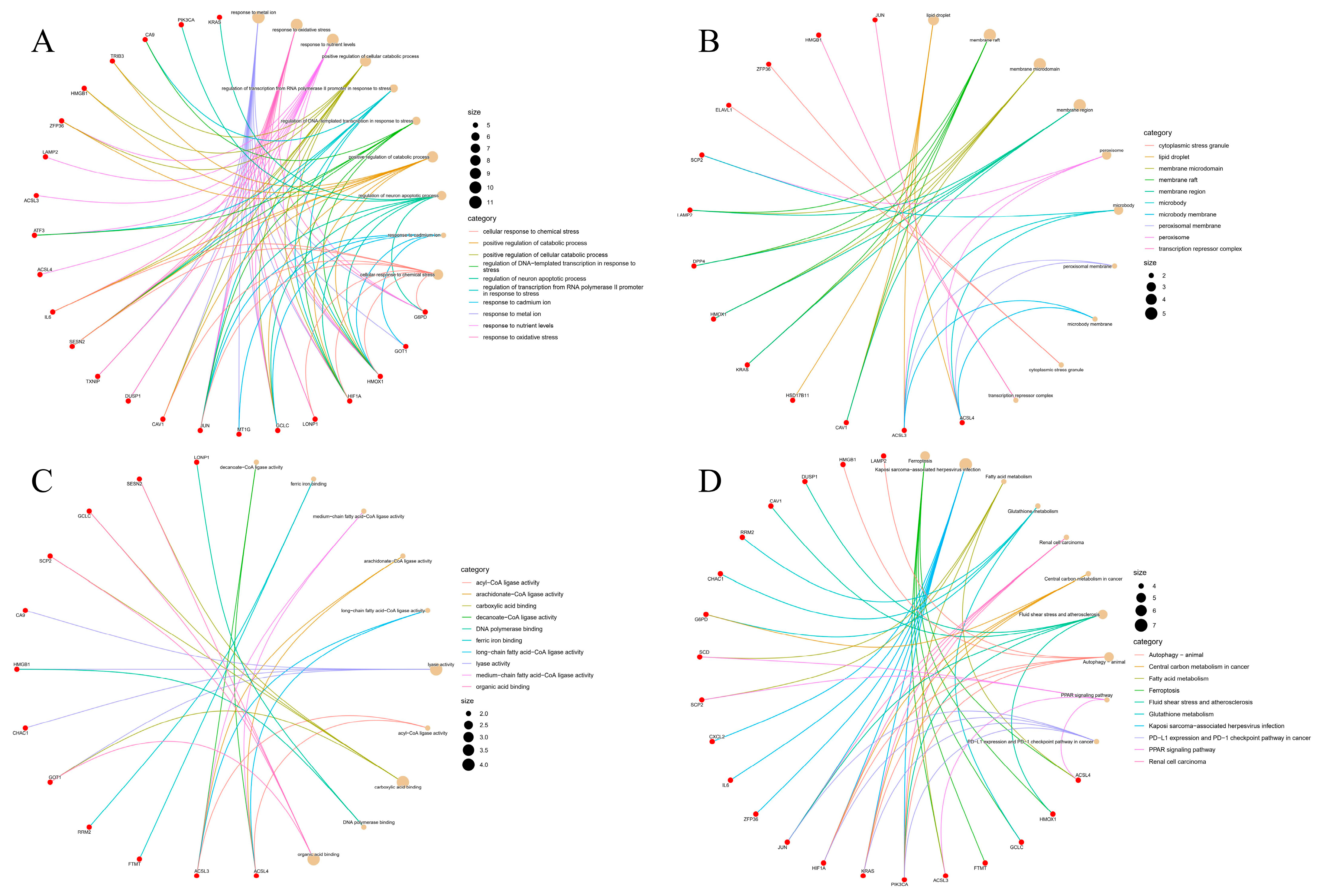 Ijms 24 04221 g002 Ijms 24 04221 g002