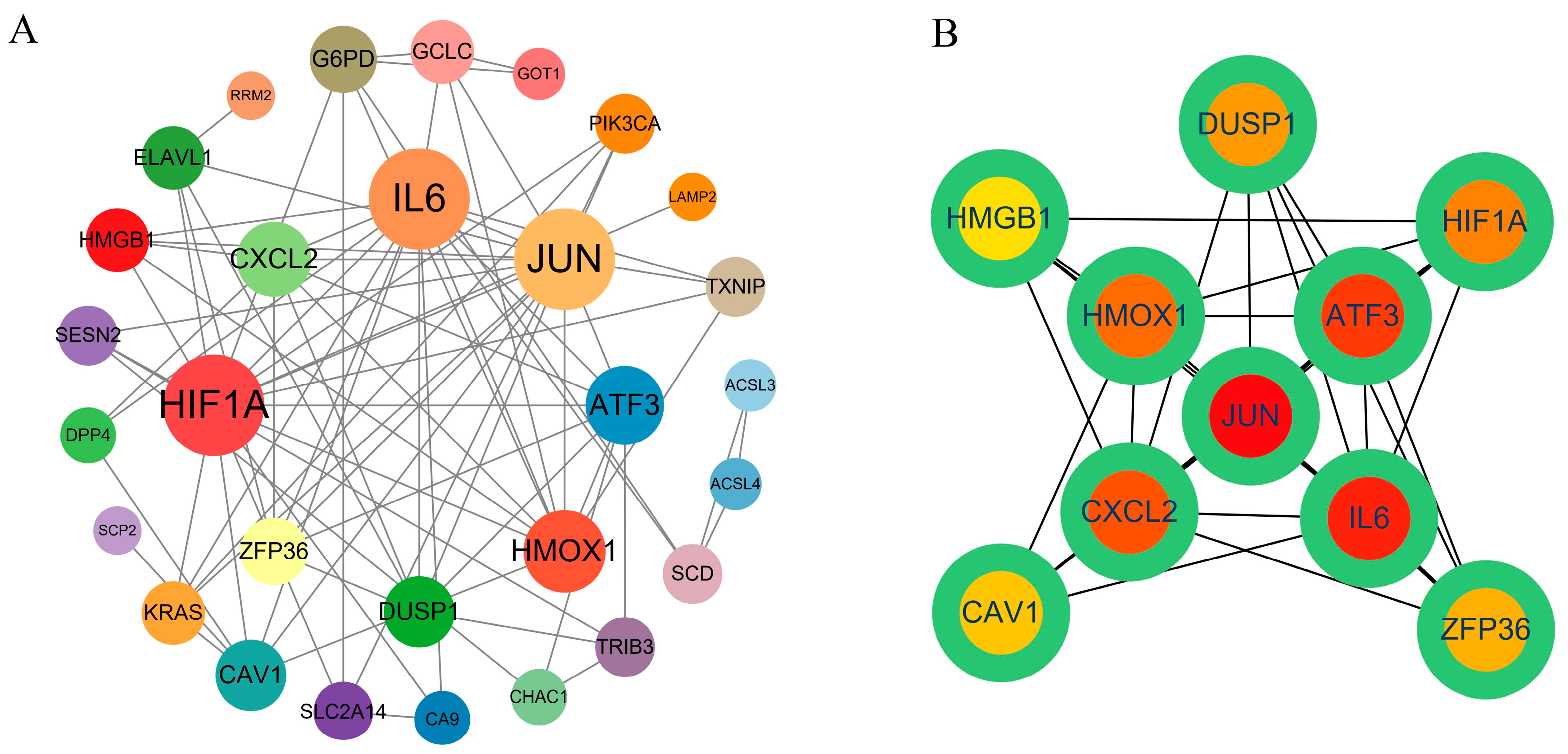 Ijms 24 04221 g003 Ijms 24 04221 g003
