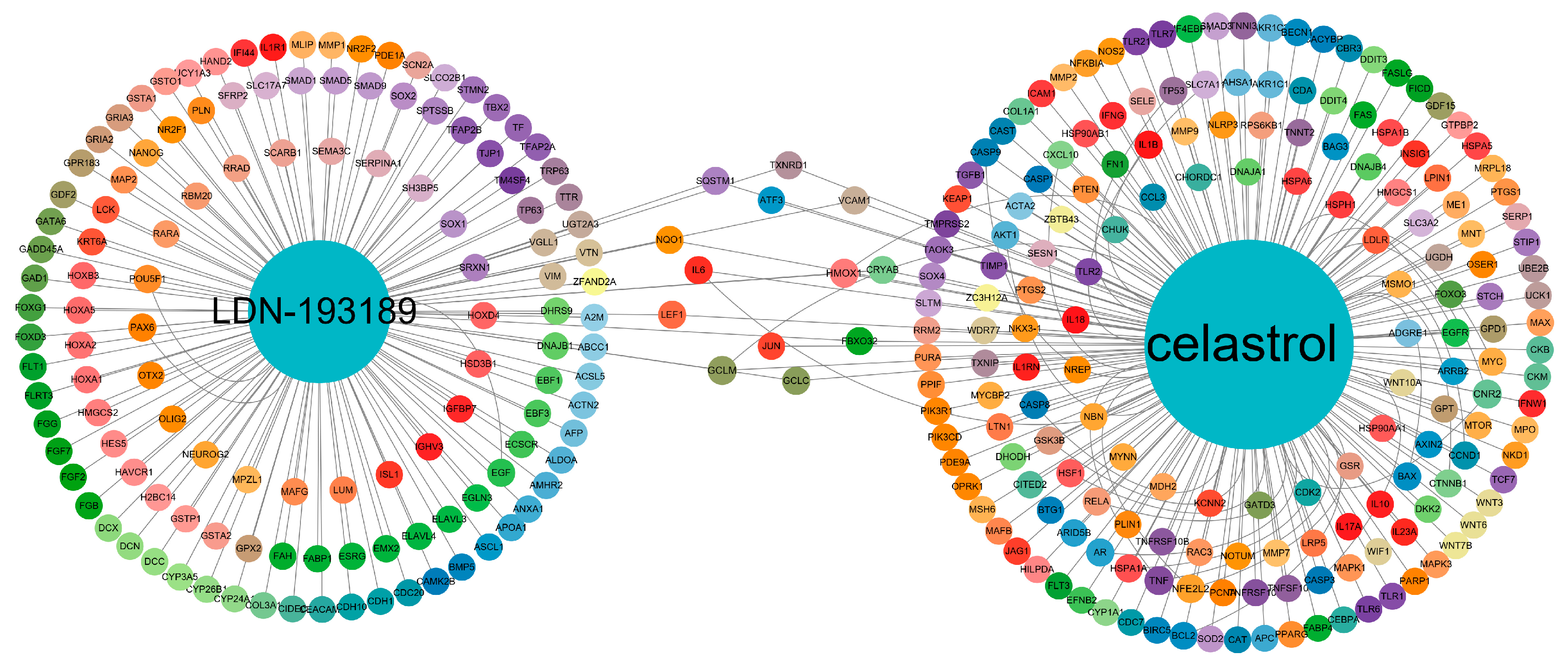 Ijms 24 04221 g004 Ijms 24 04221 g004