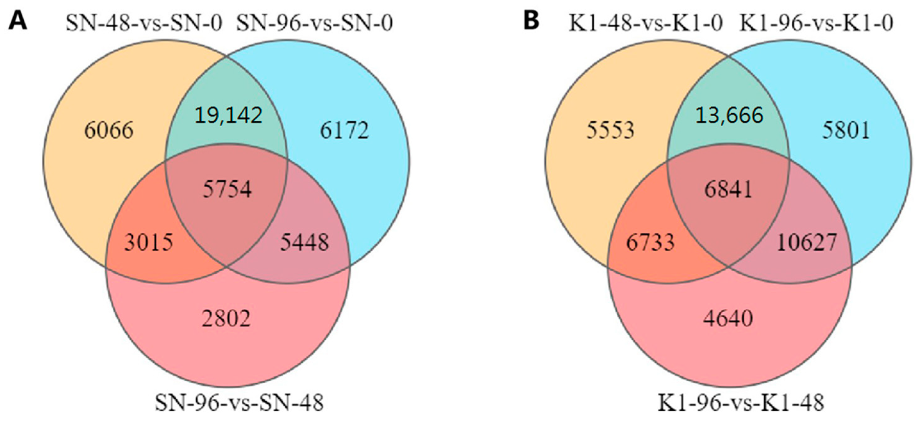 Ijms 24 04222 g002 Ijms 24 04222 g002