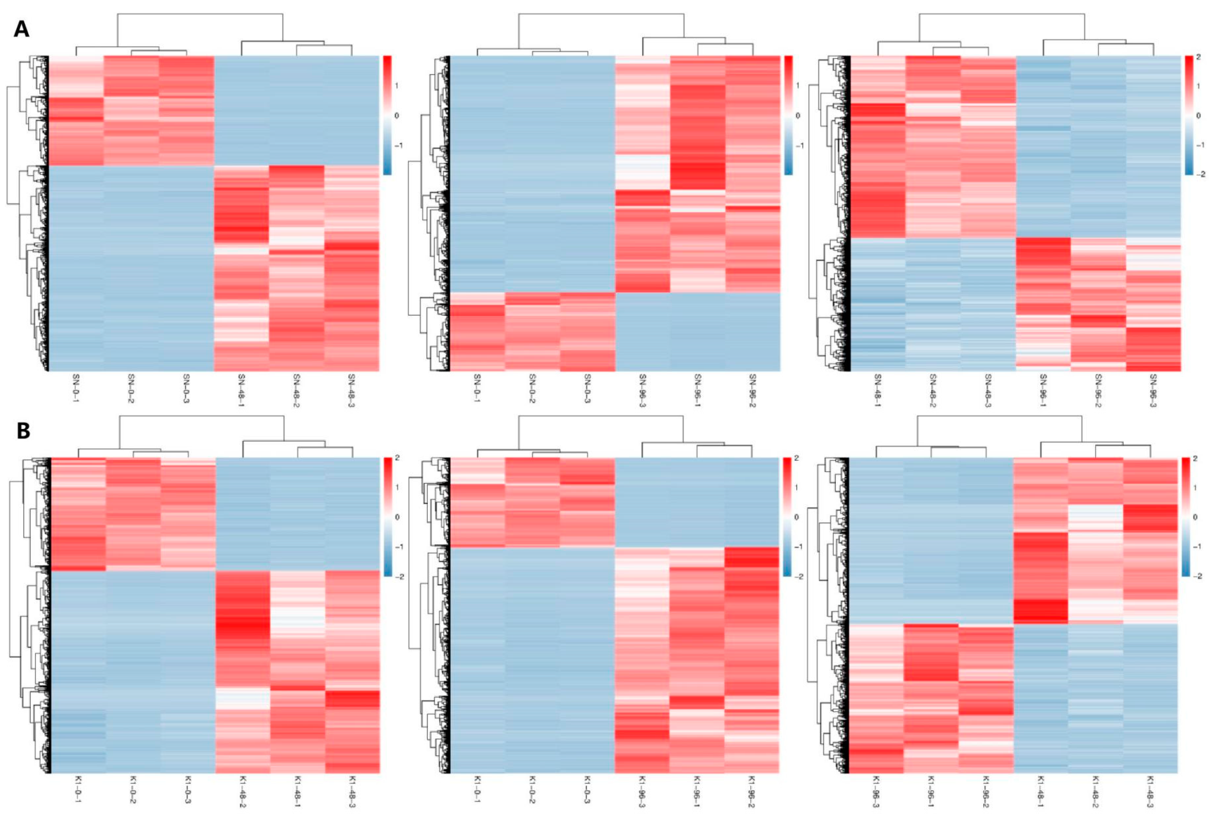 Ijms 24 04222 g004 Ijms 24 04222 g004