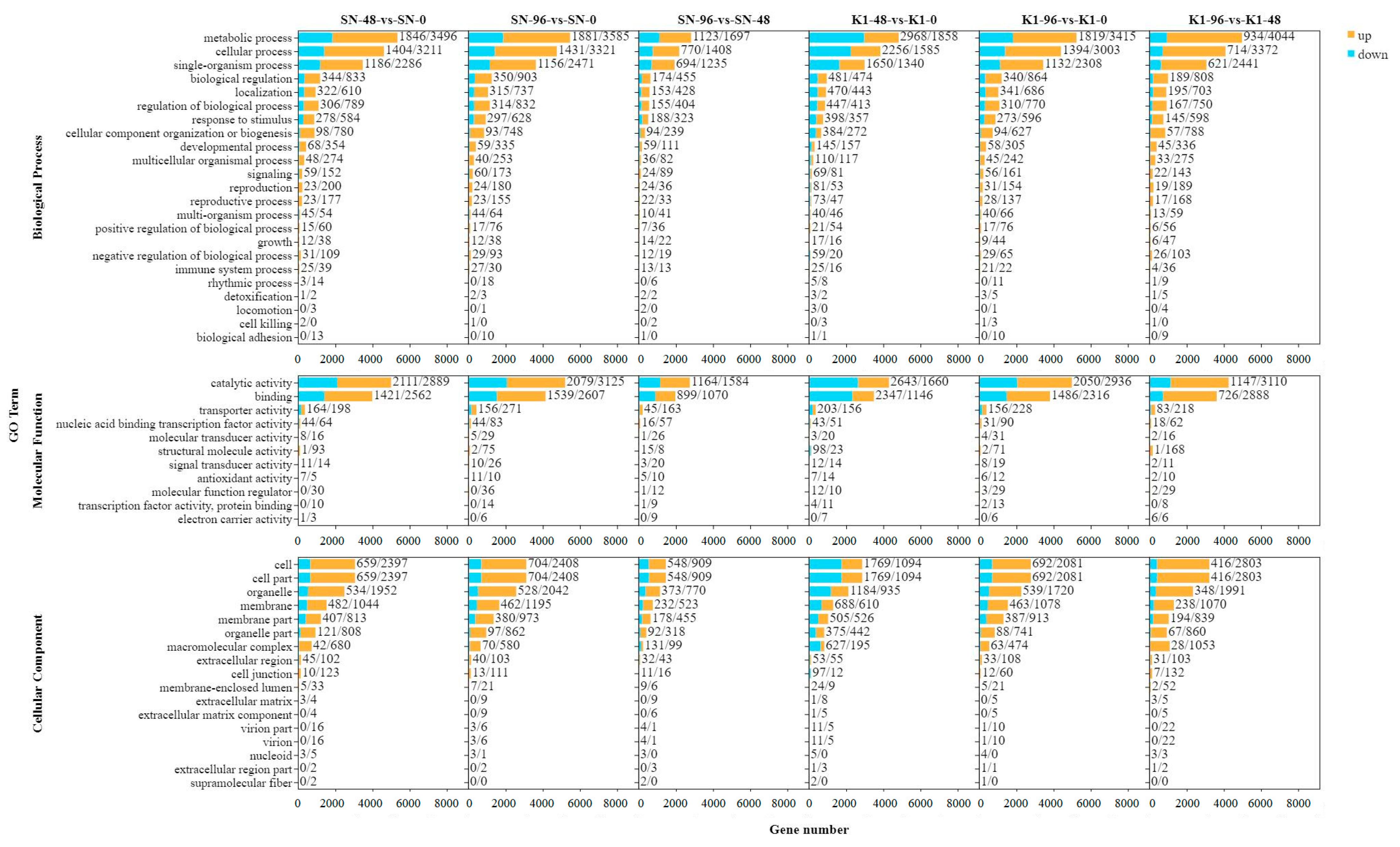Ijms 24 04222 g005 Ijms 24 04222 g005