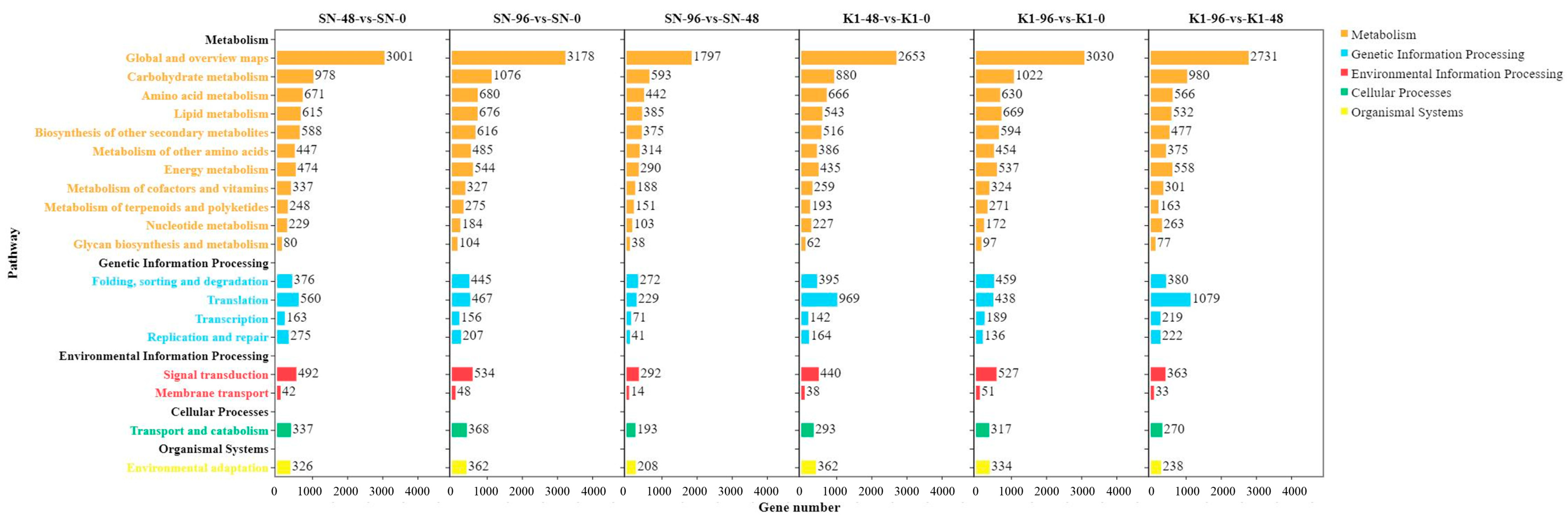 Ijms 24 04222 g006 Ijms 24 04222 g006