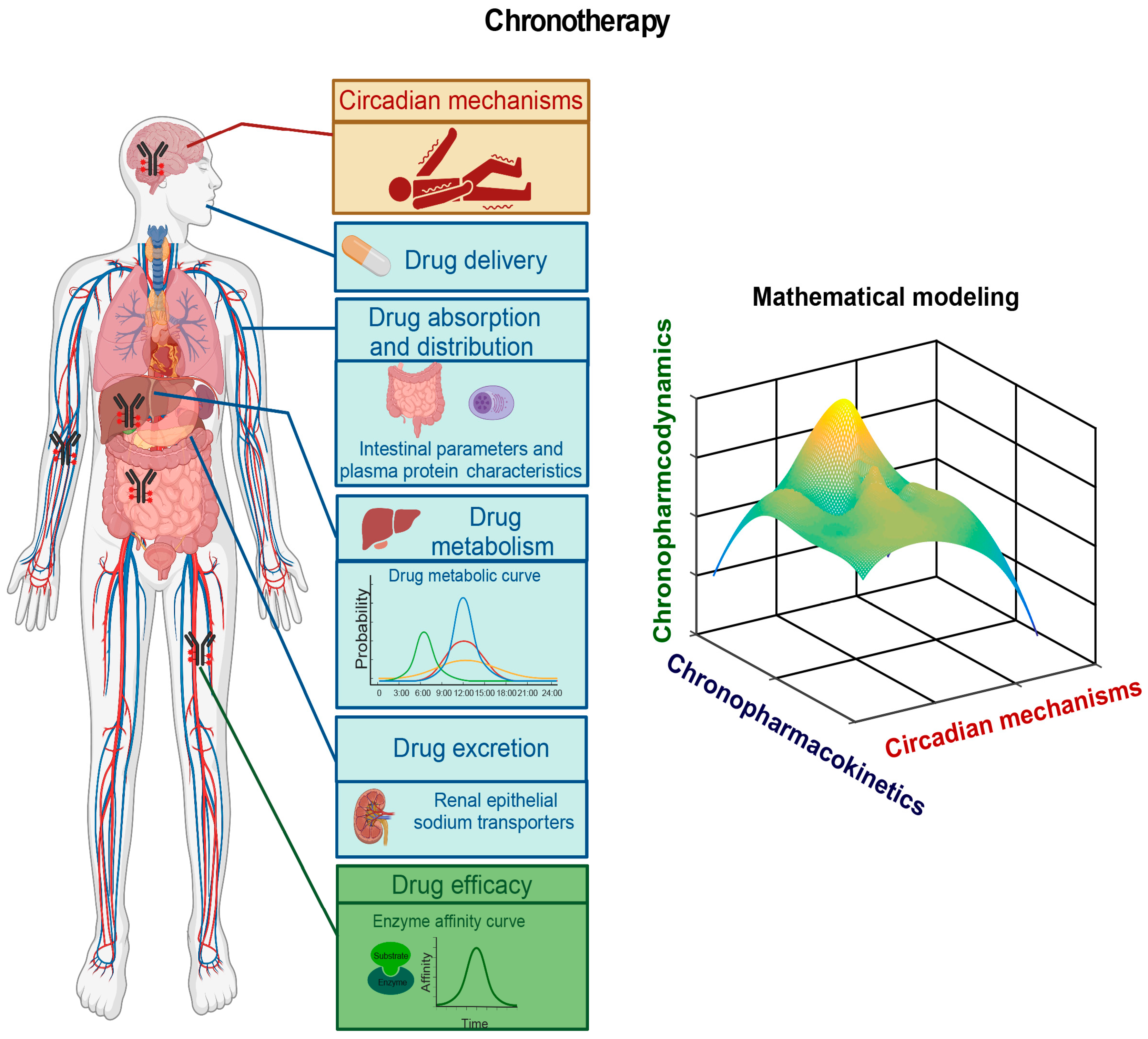 Ijms 24 04223 g005 Ijms 24 04223 g005