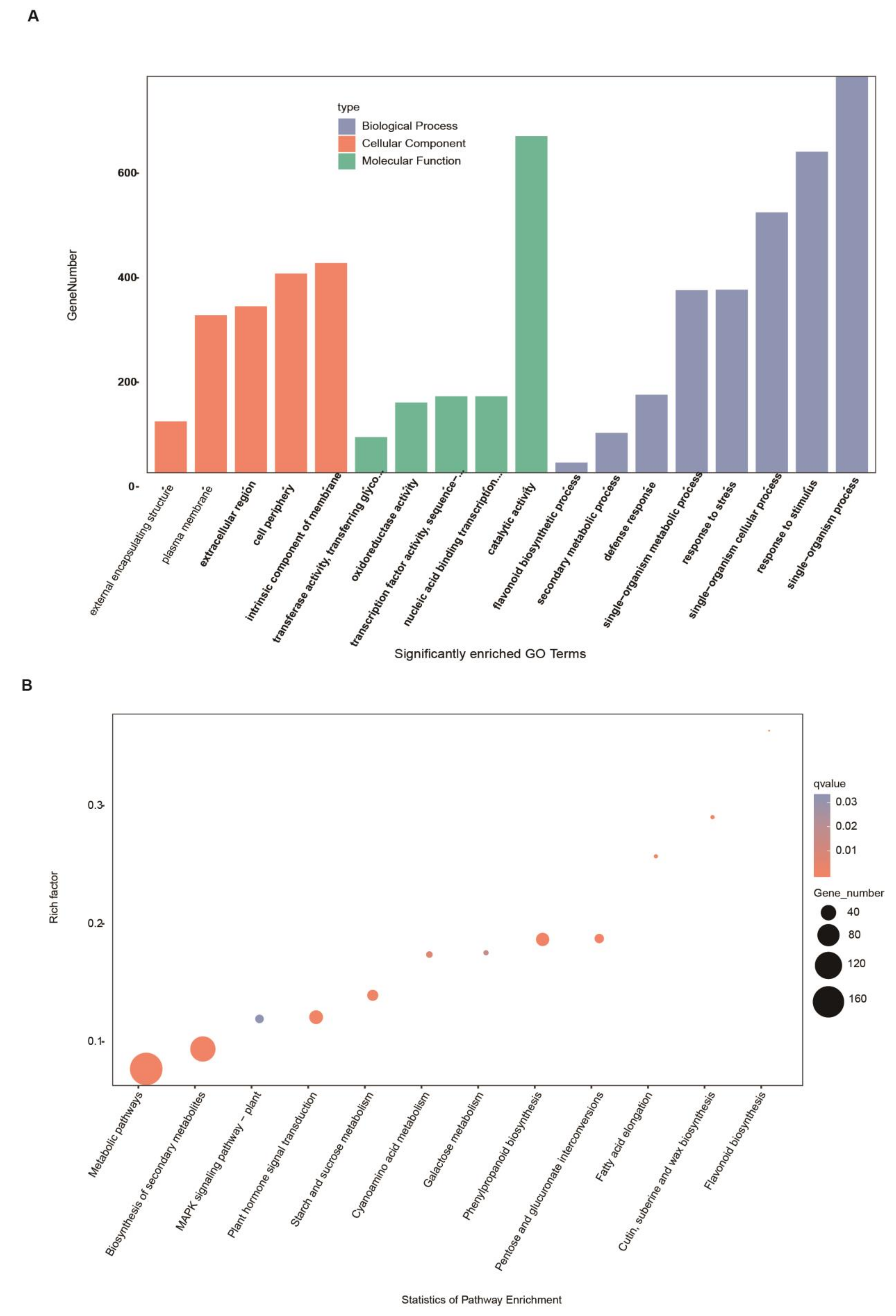 Ijms 24 04229 g004 Ijms 24 04229 g004