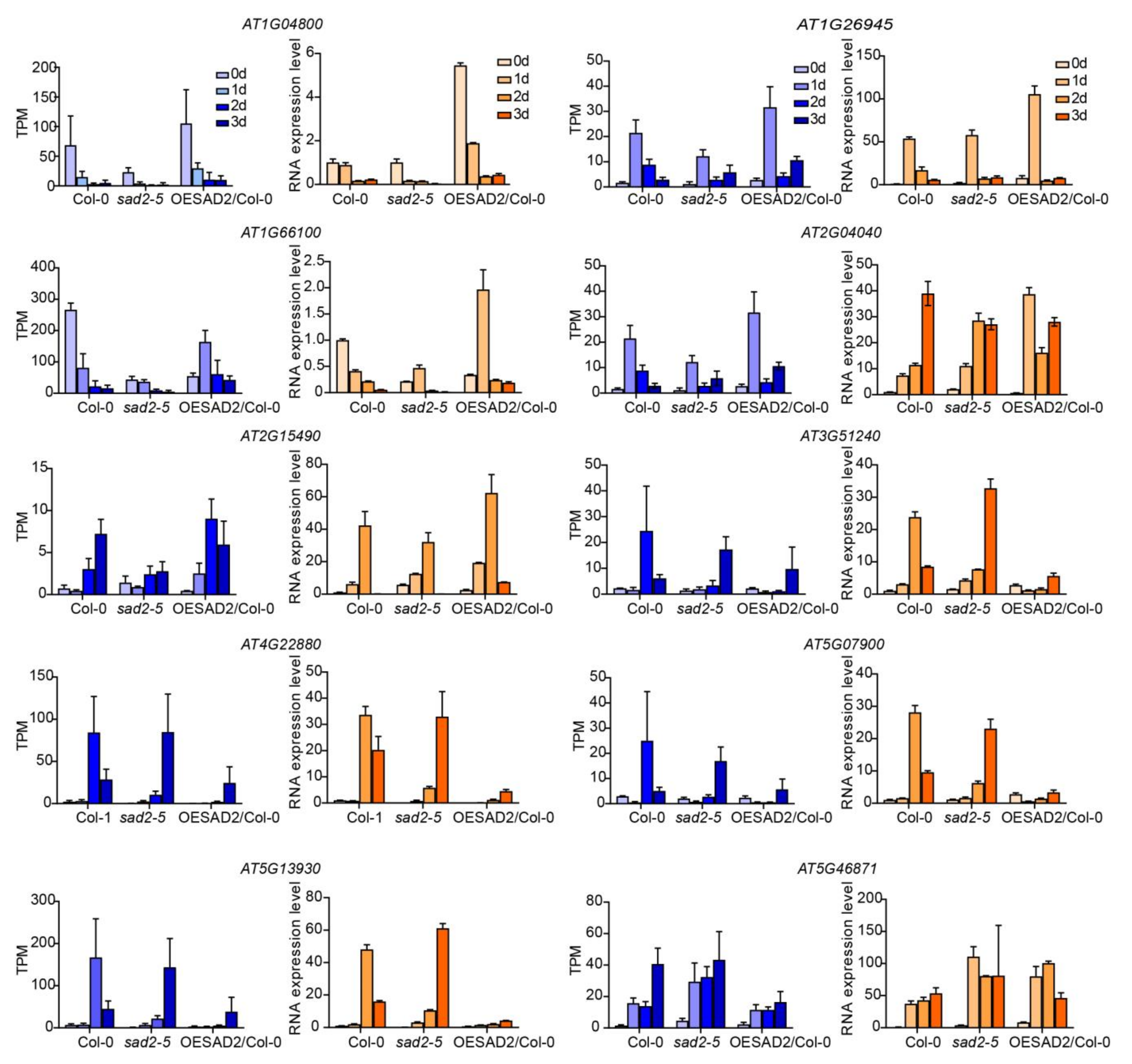 Ijms 24 04229 g006 Ijms 24 04229 g006