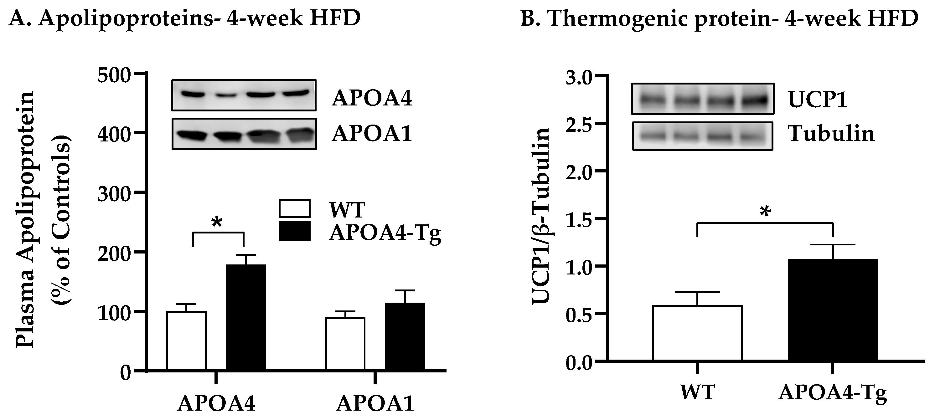 Ijms 24 04231 g003a Ijms 24 04231 g003a