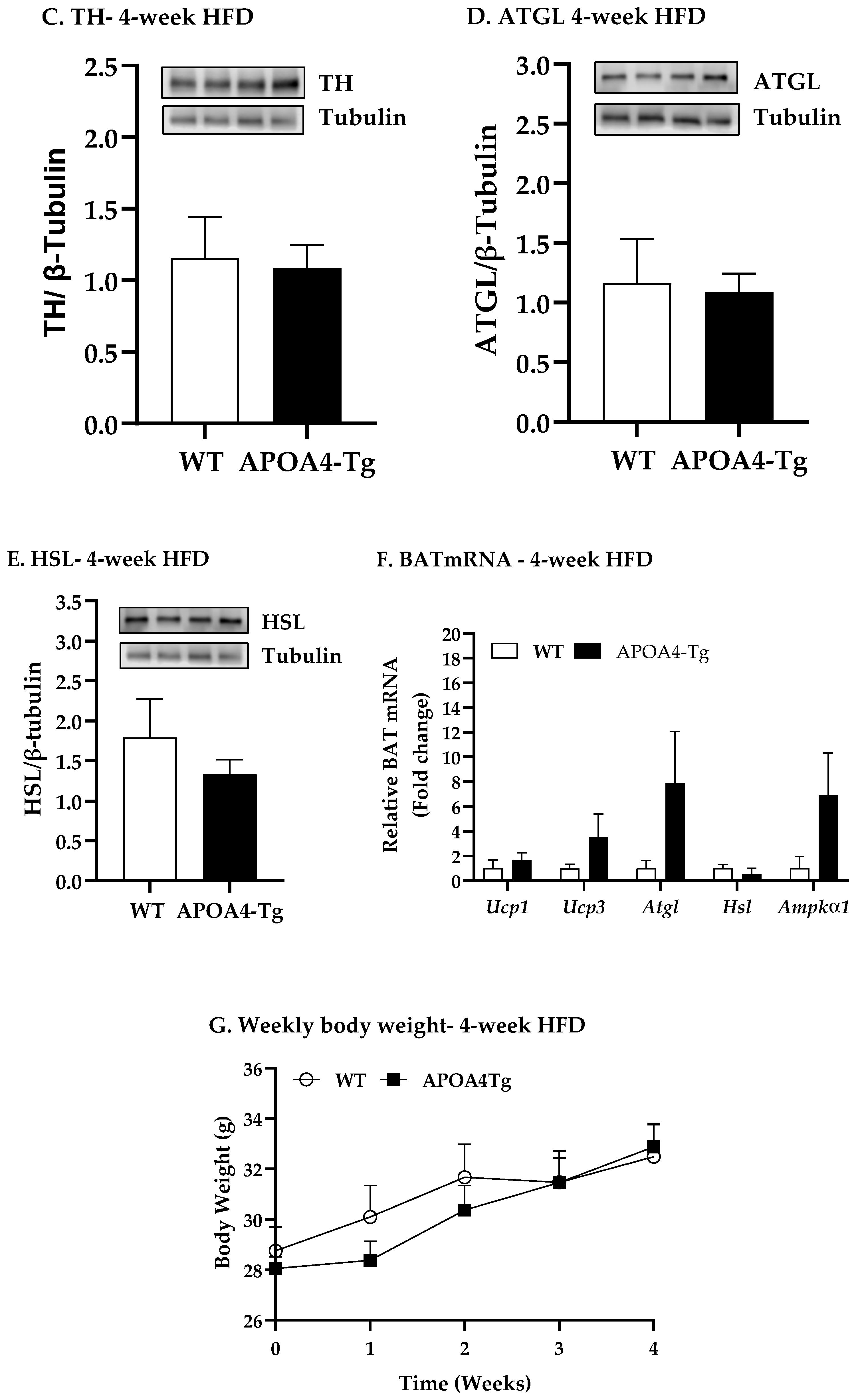 Ijms 24 04231 g003b Ijms 24 04231 g003b