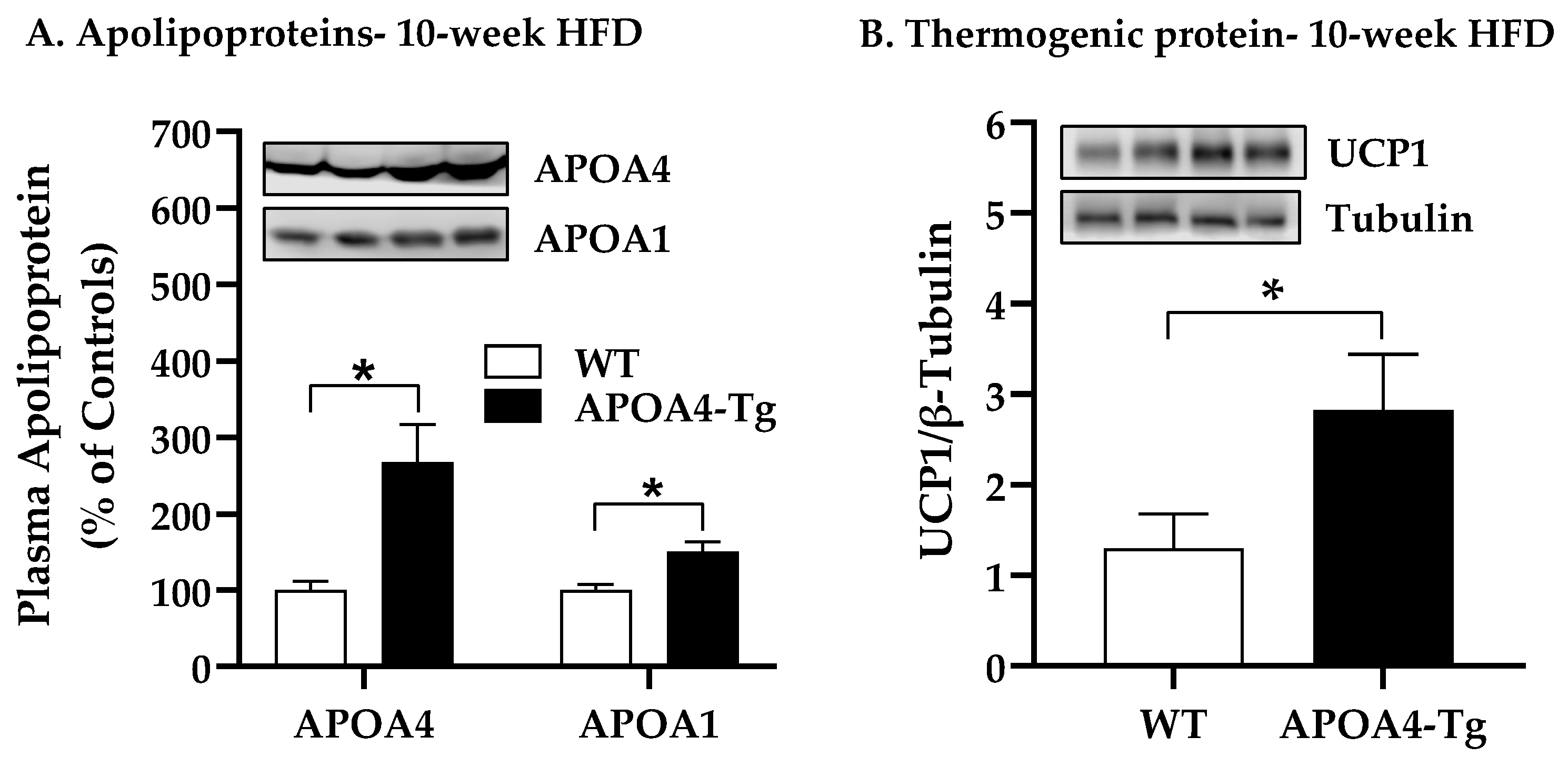 Ijms 24 04231 g004a Ijms 24 04231 g004a