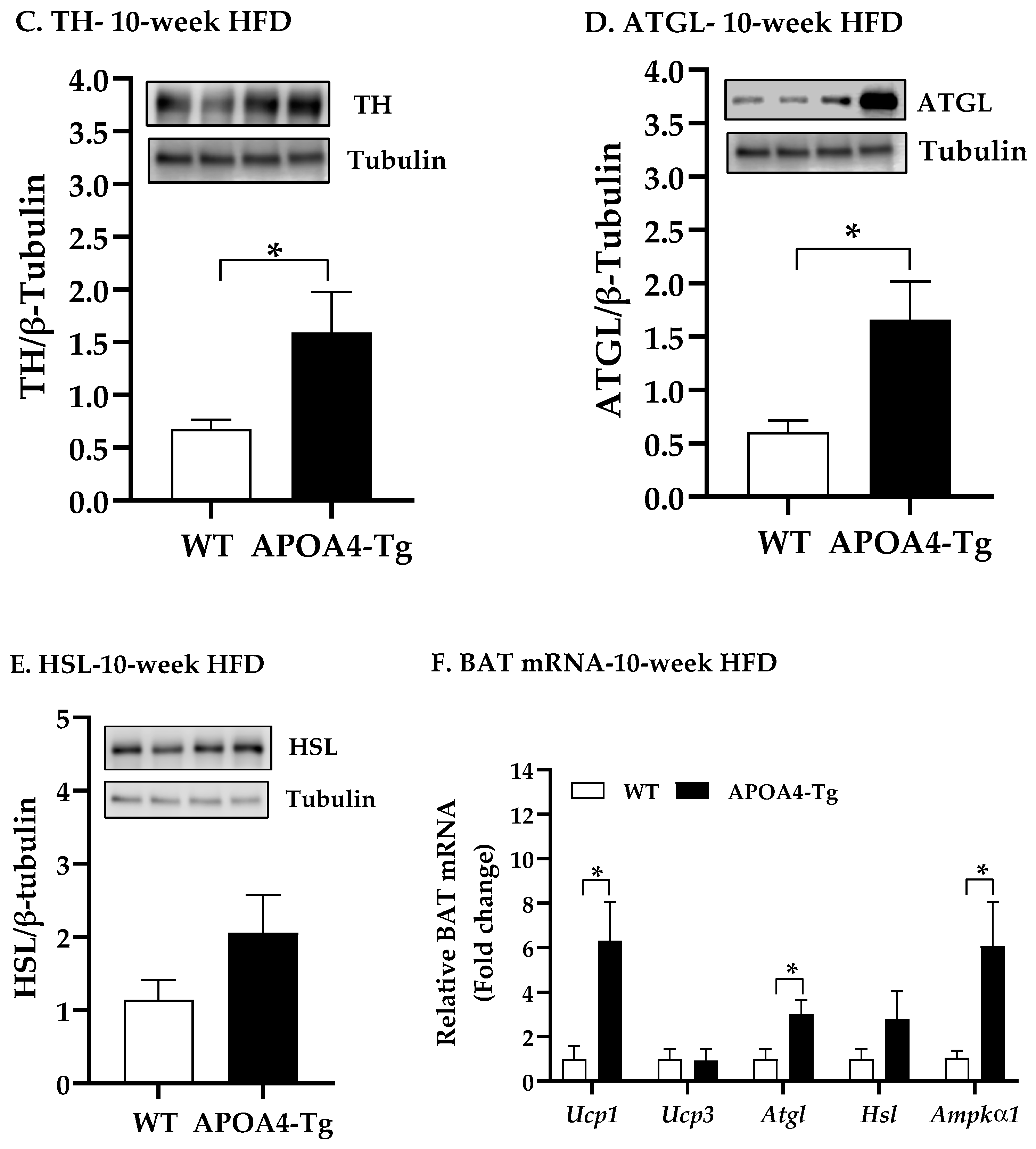 Ijms 24 04231 g004b Ijms 24 04231 g004b