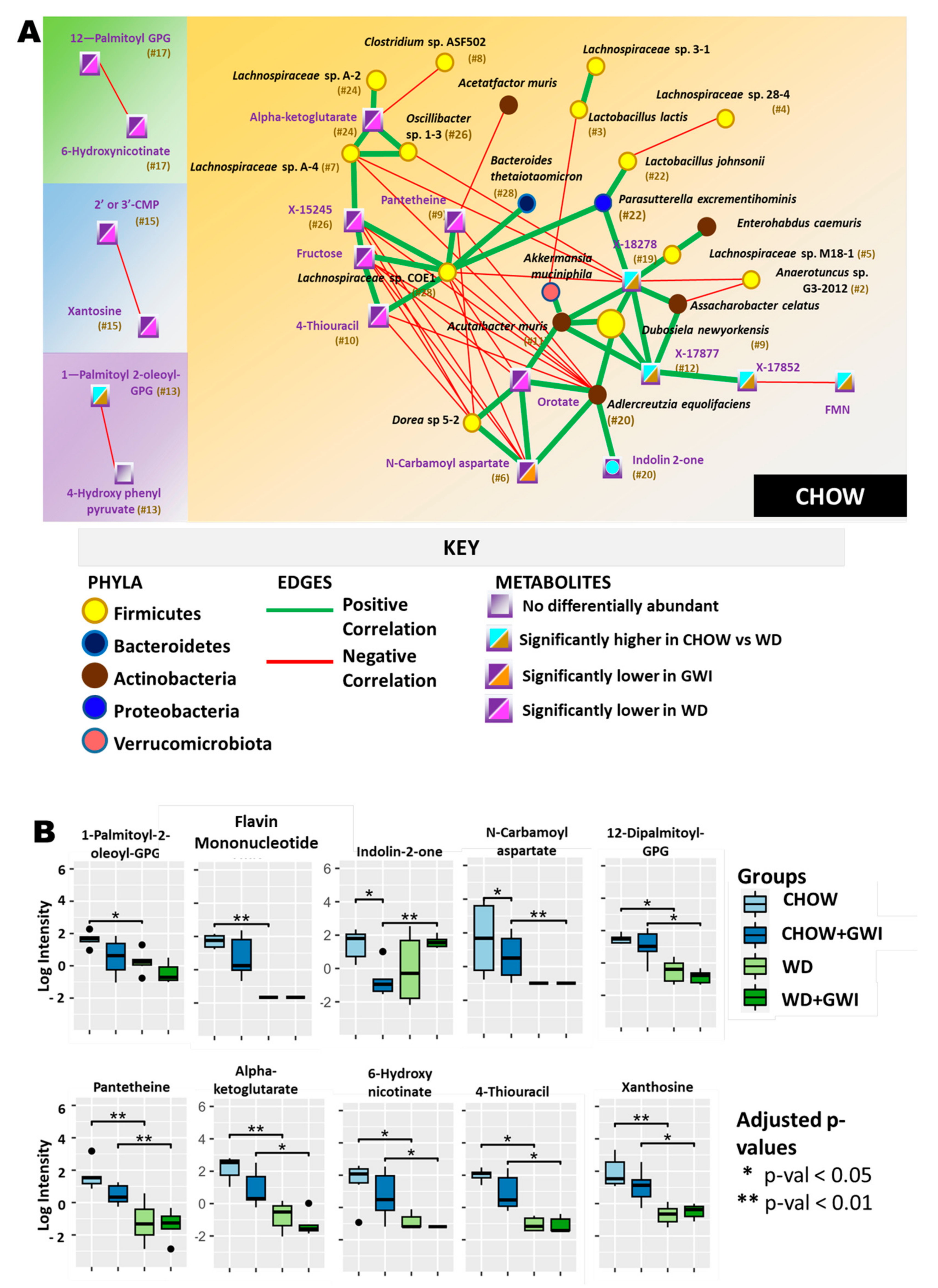 Ijms 24 04245 g004 Ijms 24 04245 g004