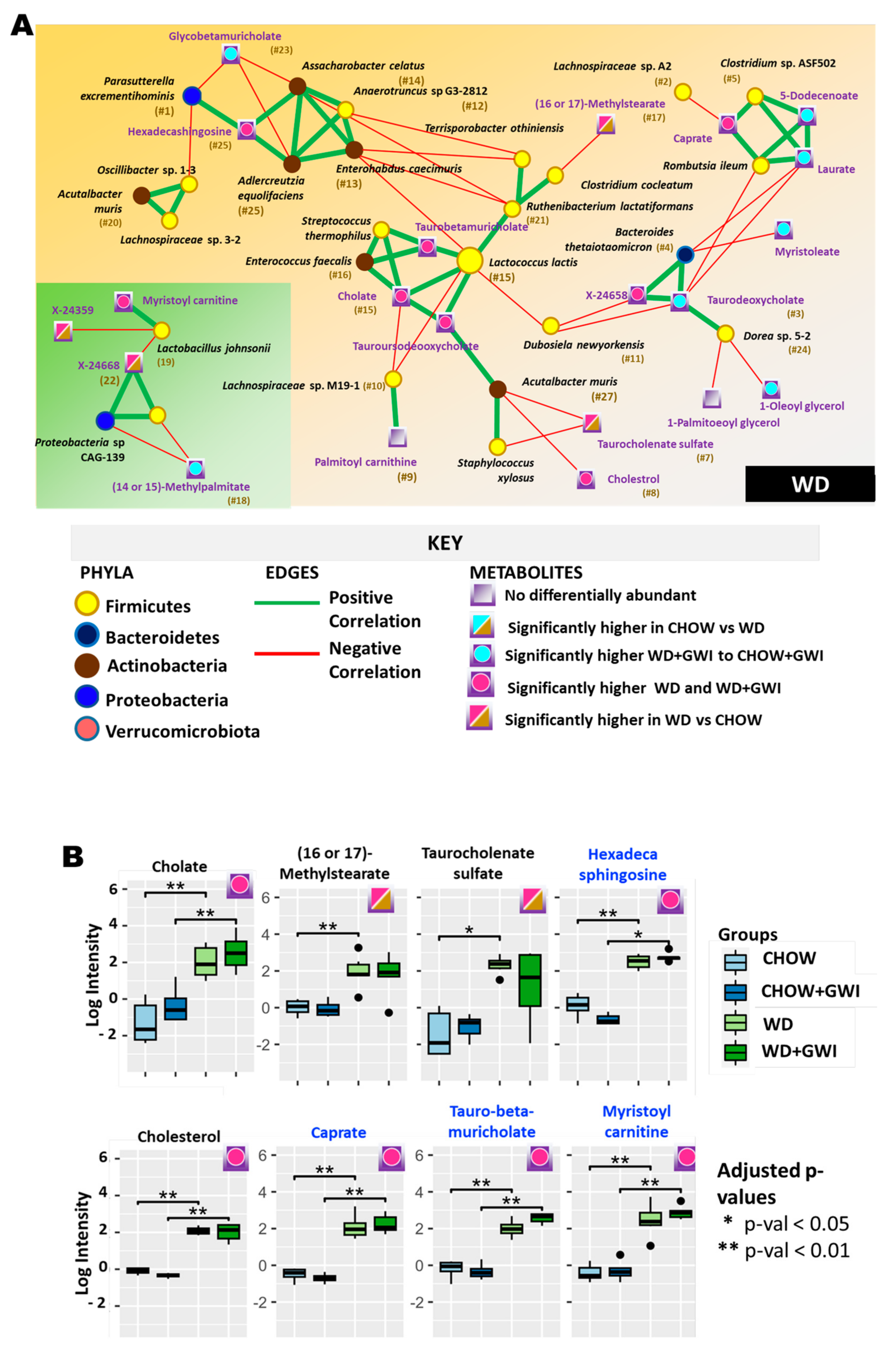 Ijms 24 04245 g006 Ijms 24 04245 g006