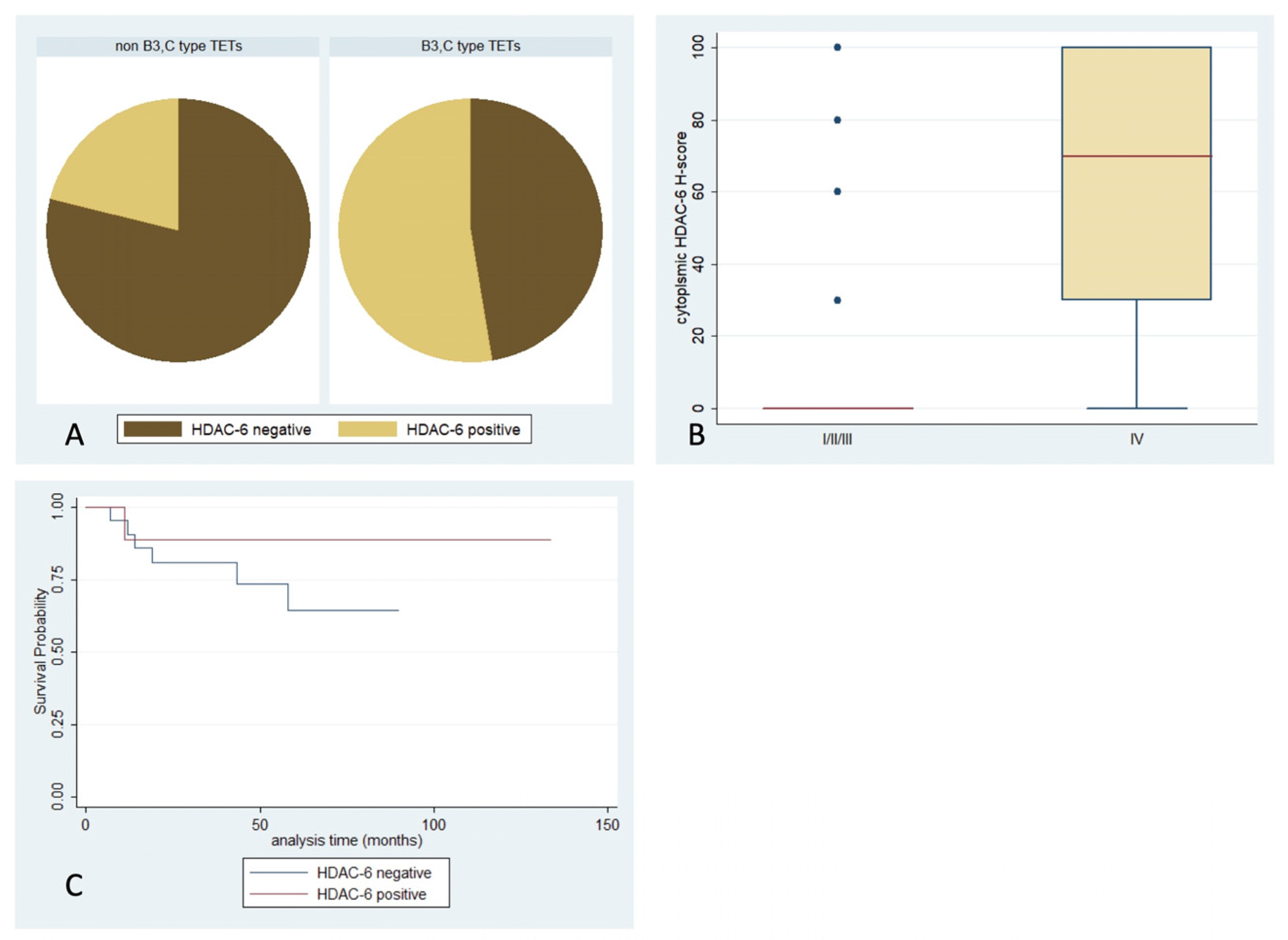 Ijms 24 04263 g007 Ijms 24 04263 g007