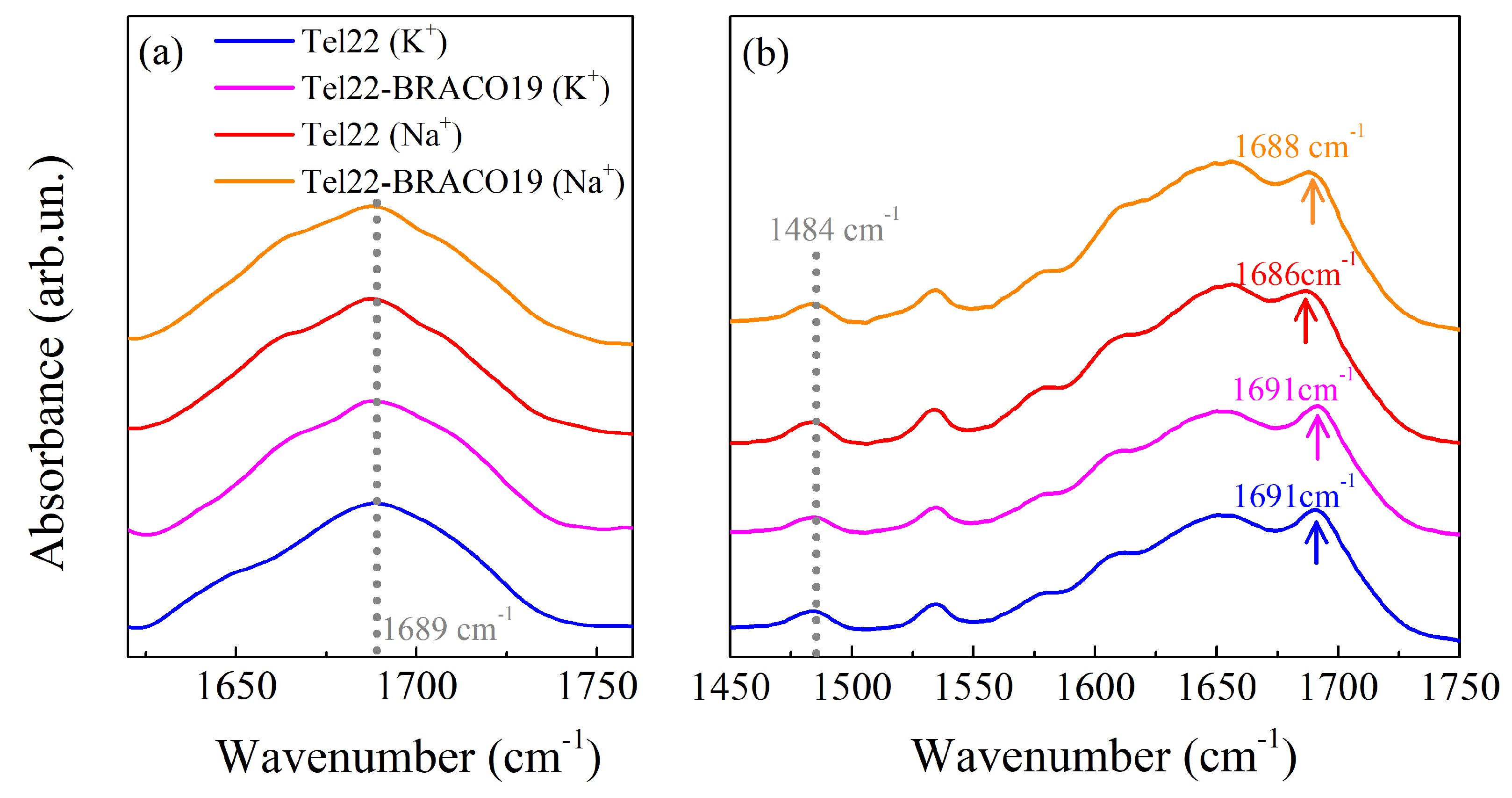 Ijms 24 04280 g002 Ijms 24 04280 g002