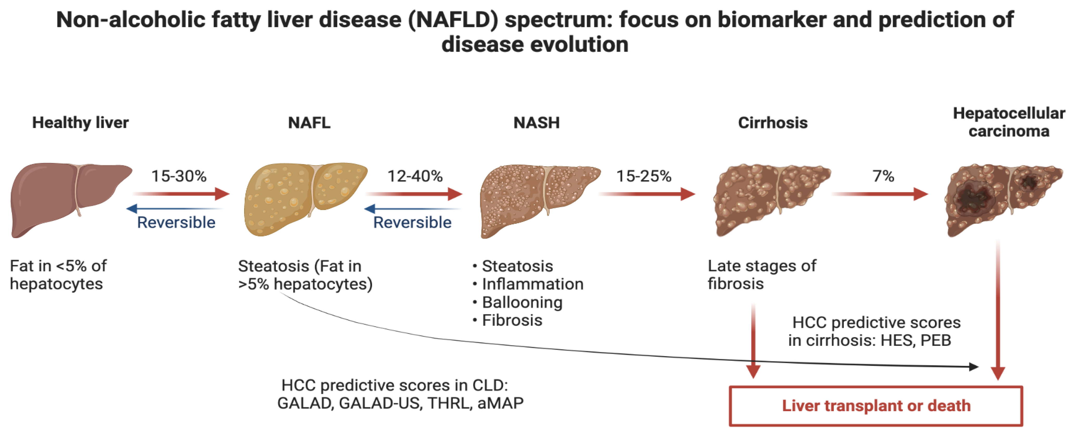 IJMS | Free Full-Text | Updating the Clinical Application of Blood ...