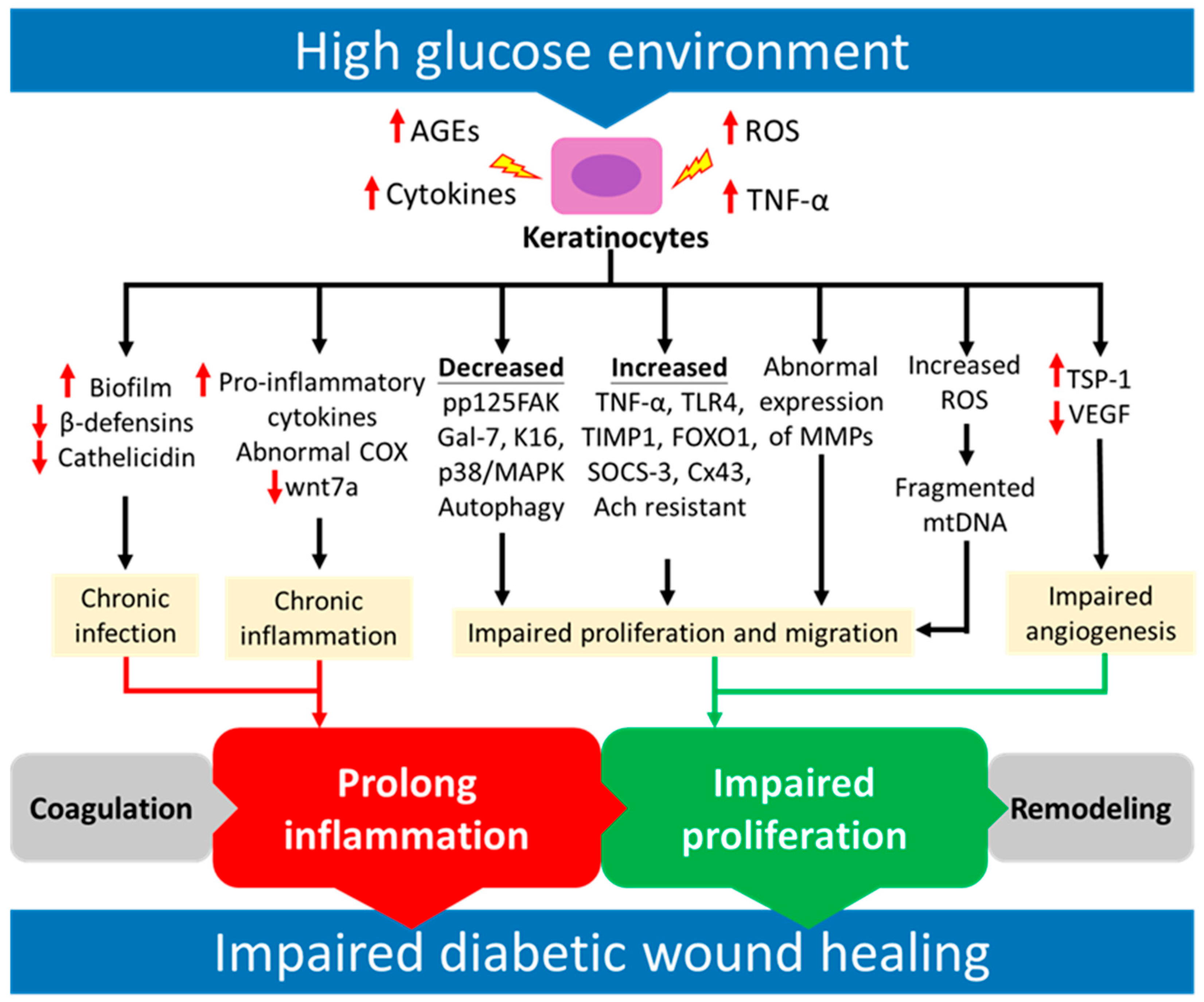 Ijms 24 04290 g001 Ijms 24 04290 g001