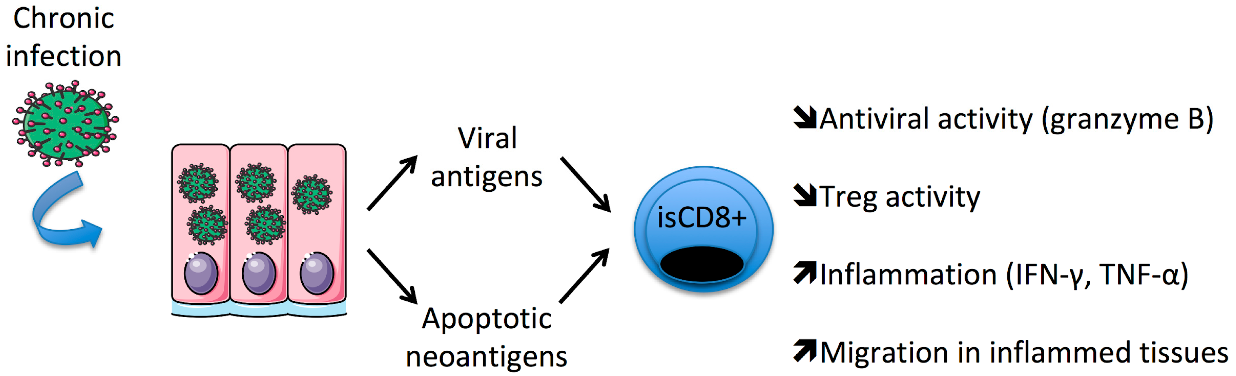 Ijms 24 04296 g001 Ijms 24 04296 g001