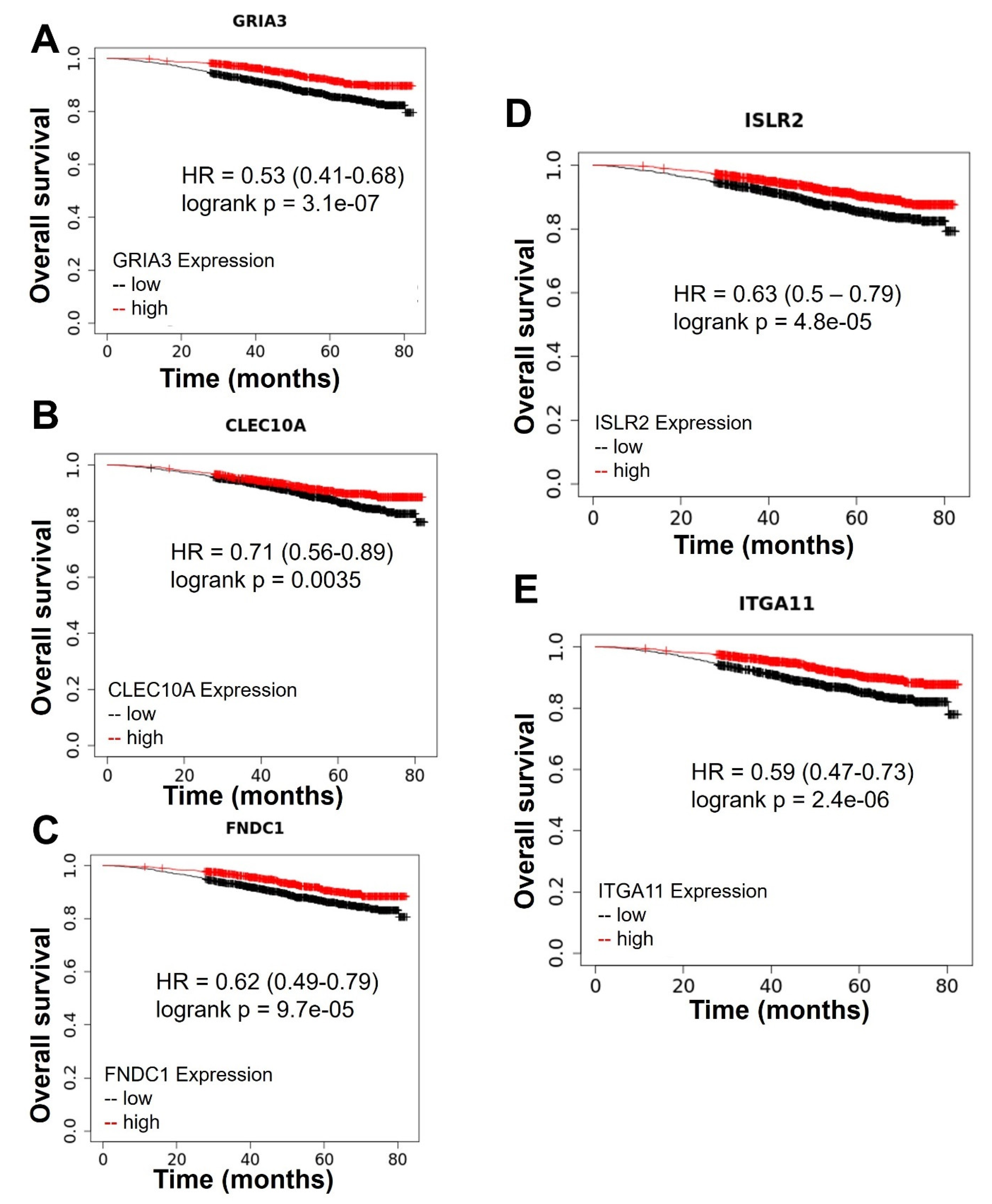 Ijms 24 04298 g002 Ijms 24 04298 g002