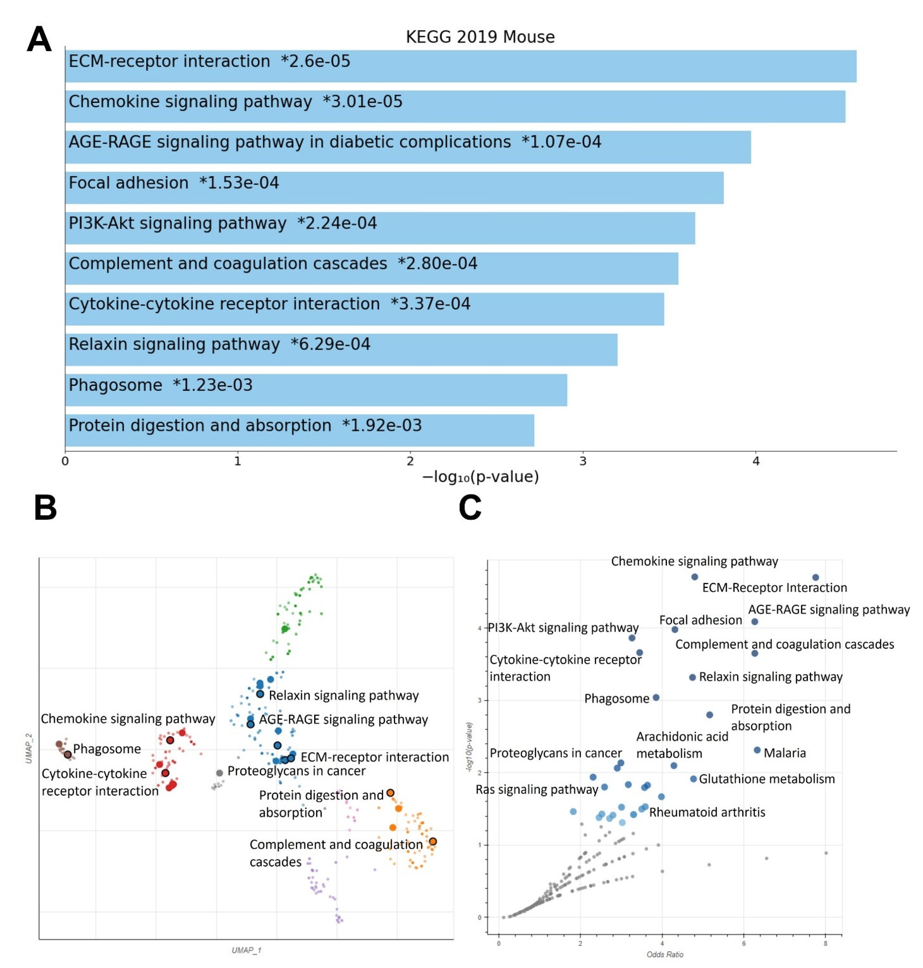 Ijms 24 04298 g003 Ijms 24 04298 g003