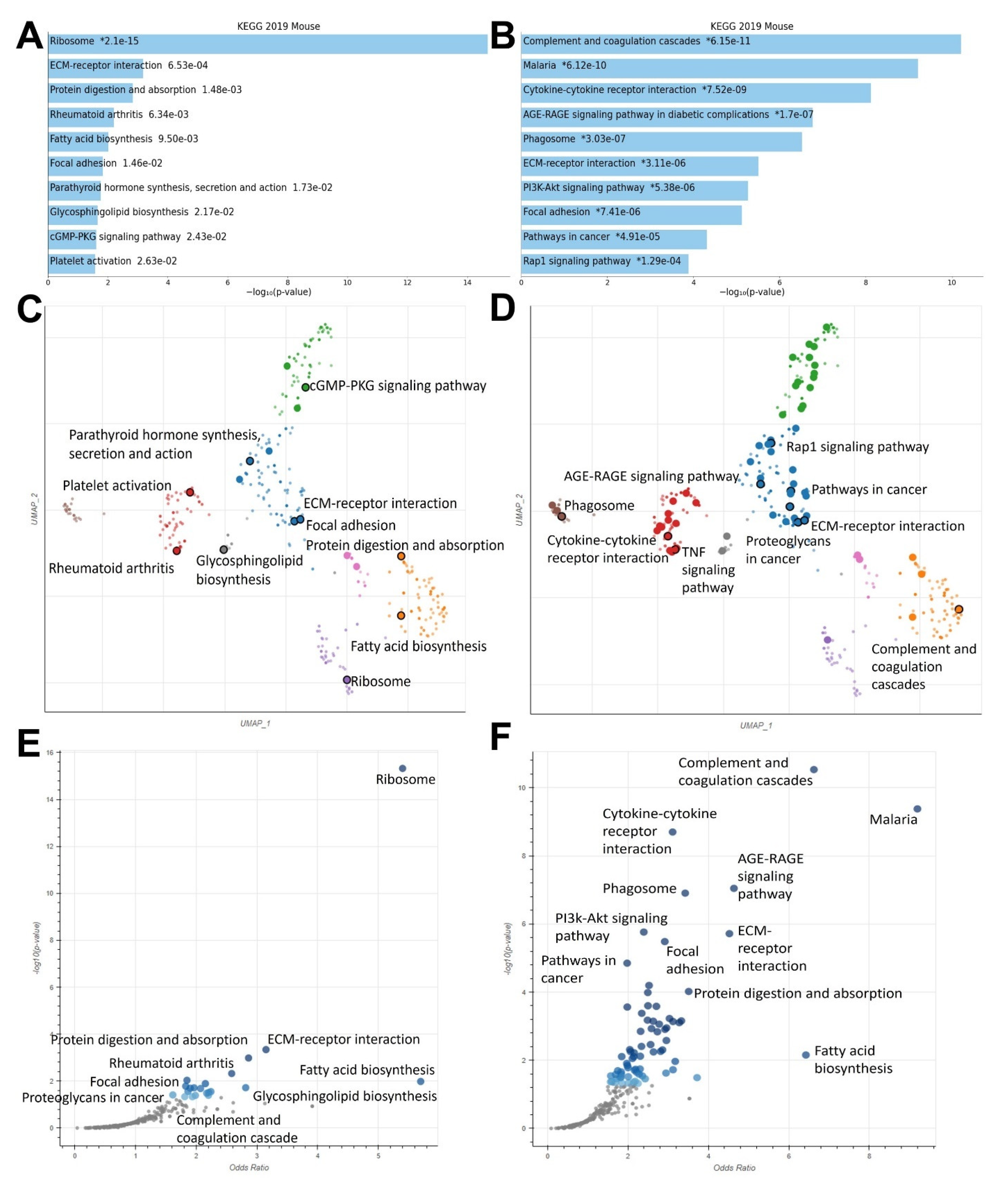 Ijms 24 04298 g004 Ijms 24 04298 g004